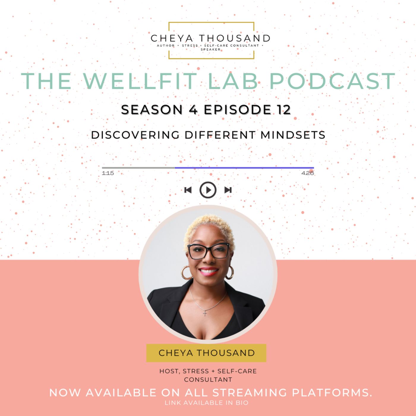 Discovering Different Types of Mindsets episode artwork