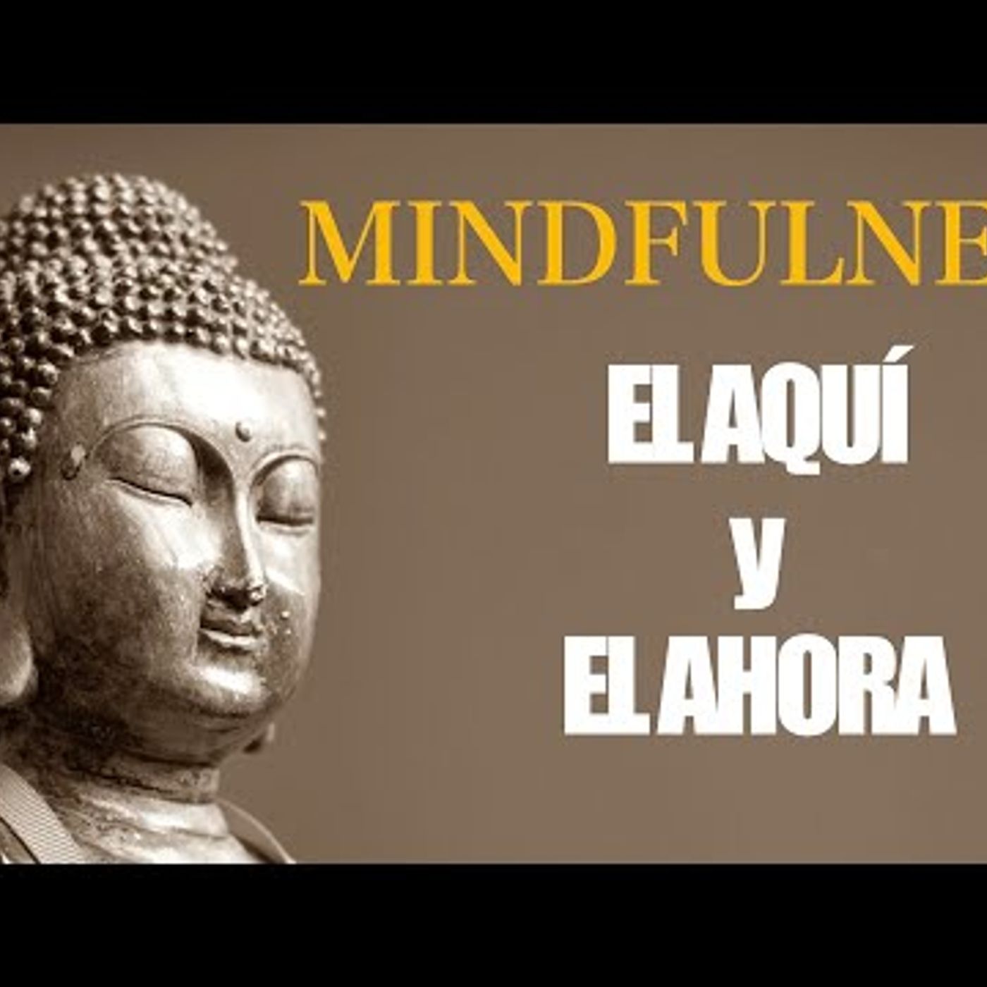 146. Meditación Mindfulness 10 minutos  El AQUÍ y el AHORA