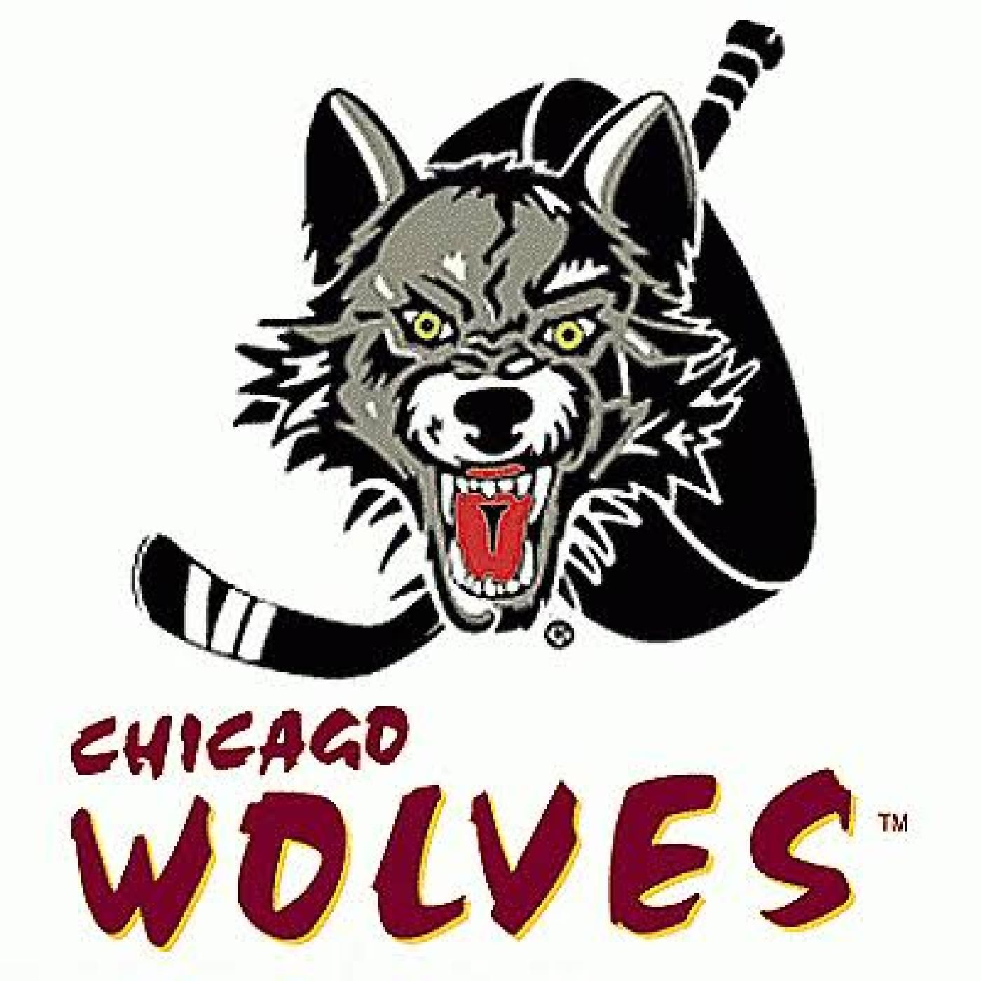 2 Minutes for Doggies: How the Chicago Wolves Are Helping Animal Shelters & Rescues episode artwork