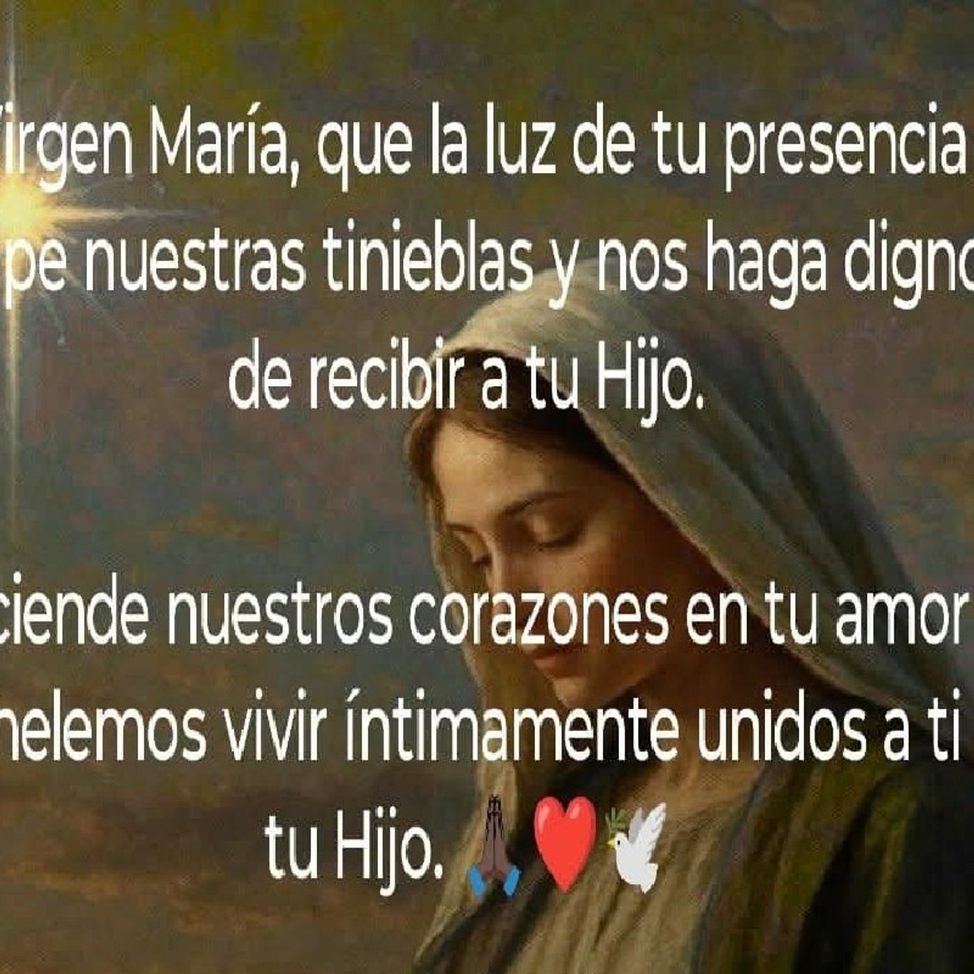 El podcast de Fray. Saúl Benavides