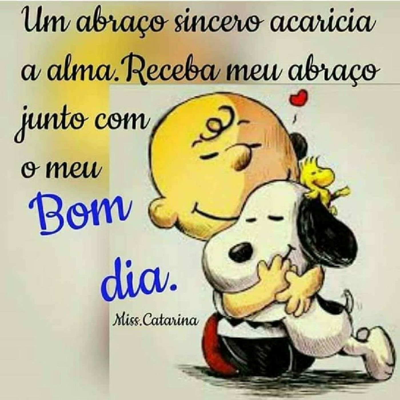 Nilson Aparecido Do Nacimento\'s show