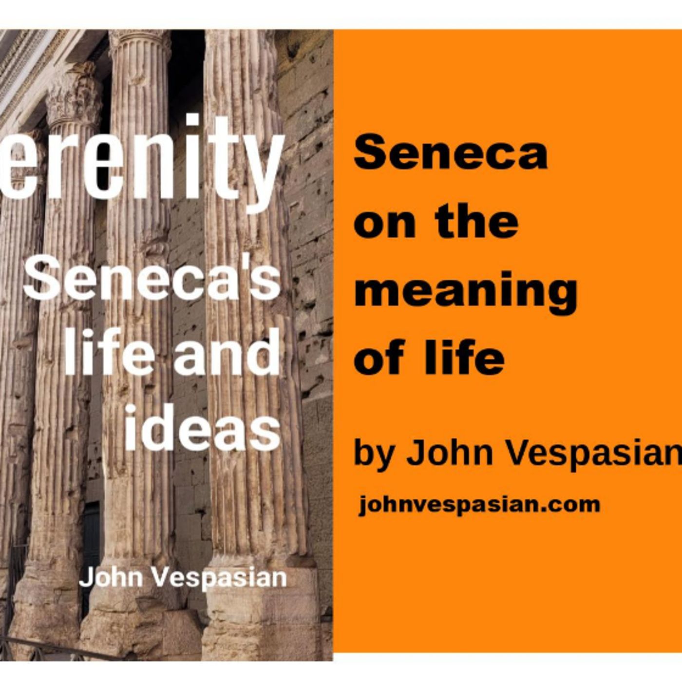 Seneca on the meaning of life episode artwork