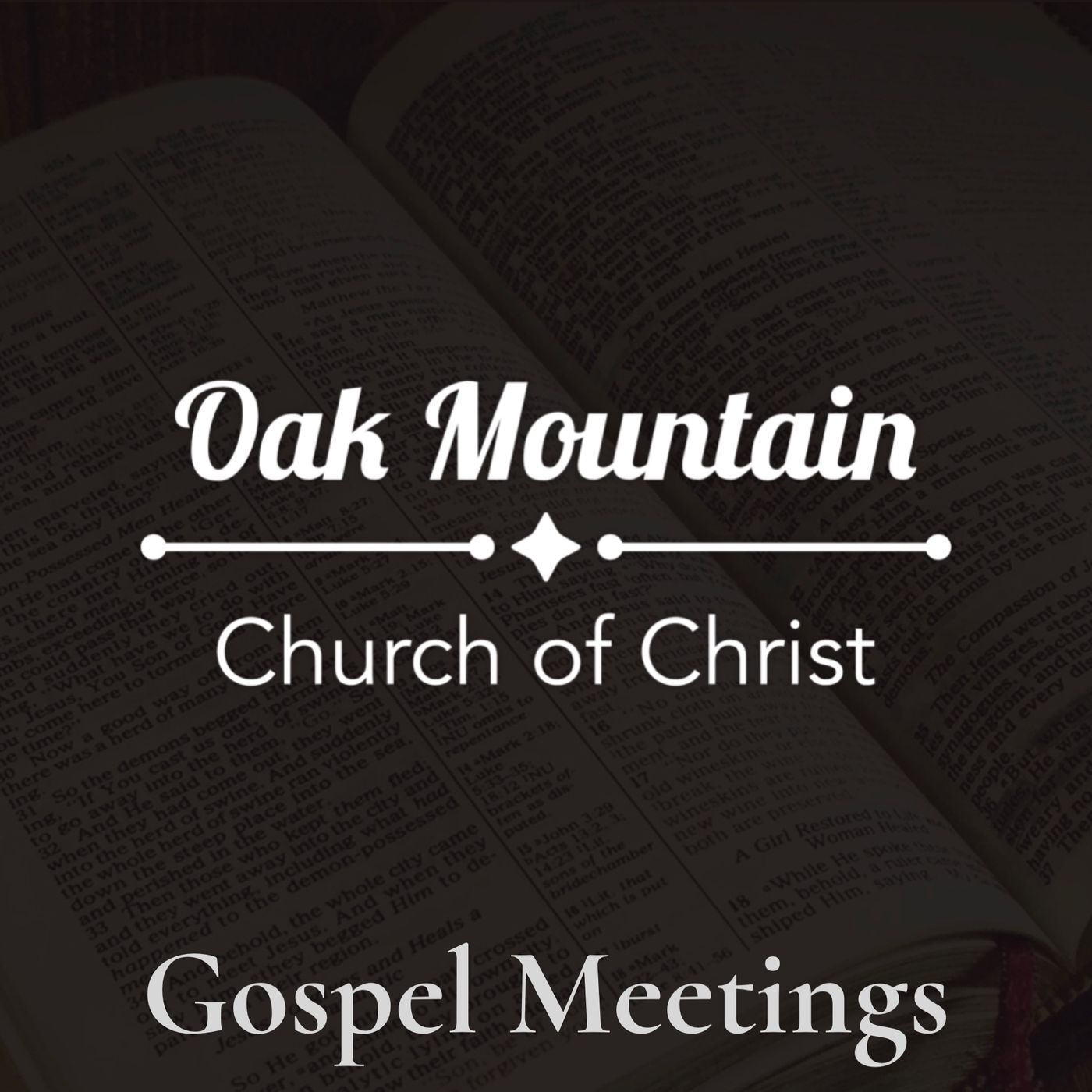 Gospel Meeting Lesson 1 2/17/19 episode artwork
