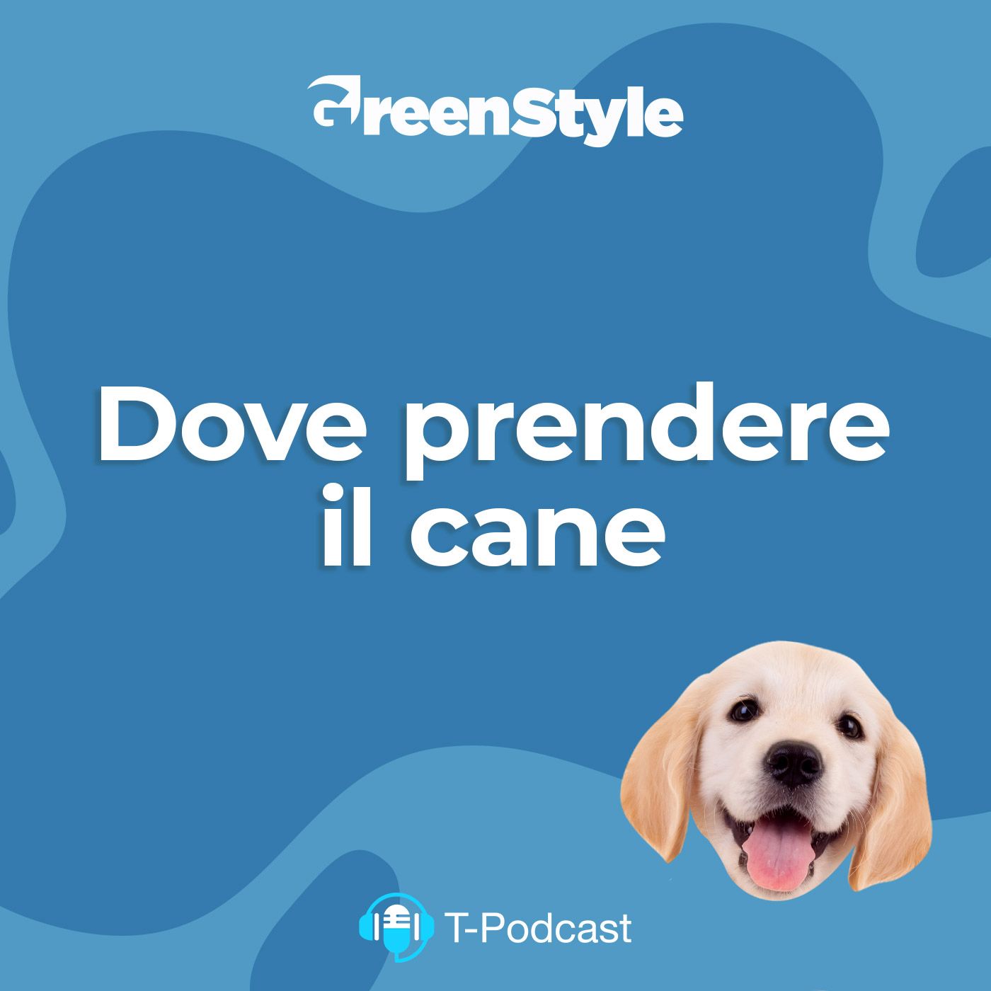 Ep.2 - Dove Prendere Il Cane