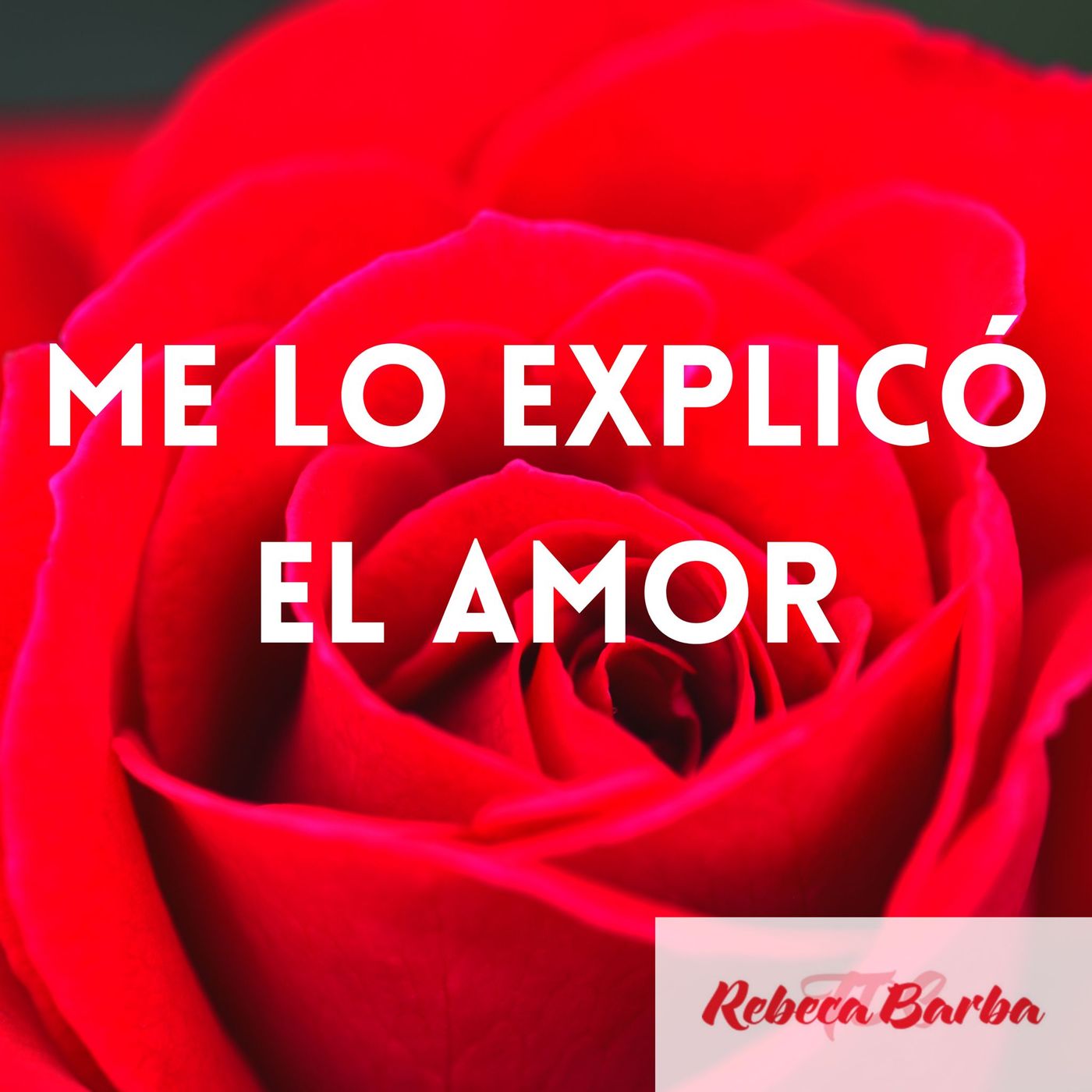 Me lo explicó el amor