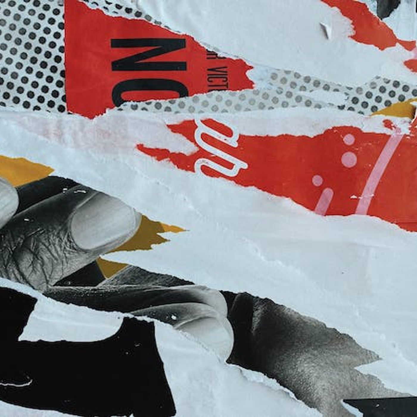 Embracing Unpopular Truth in an Age of Political Correctness