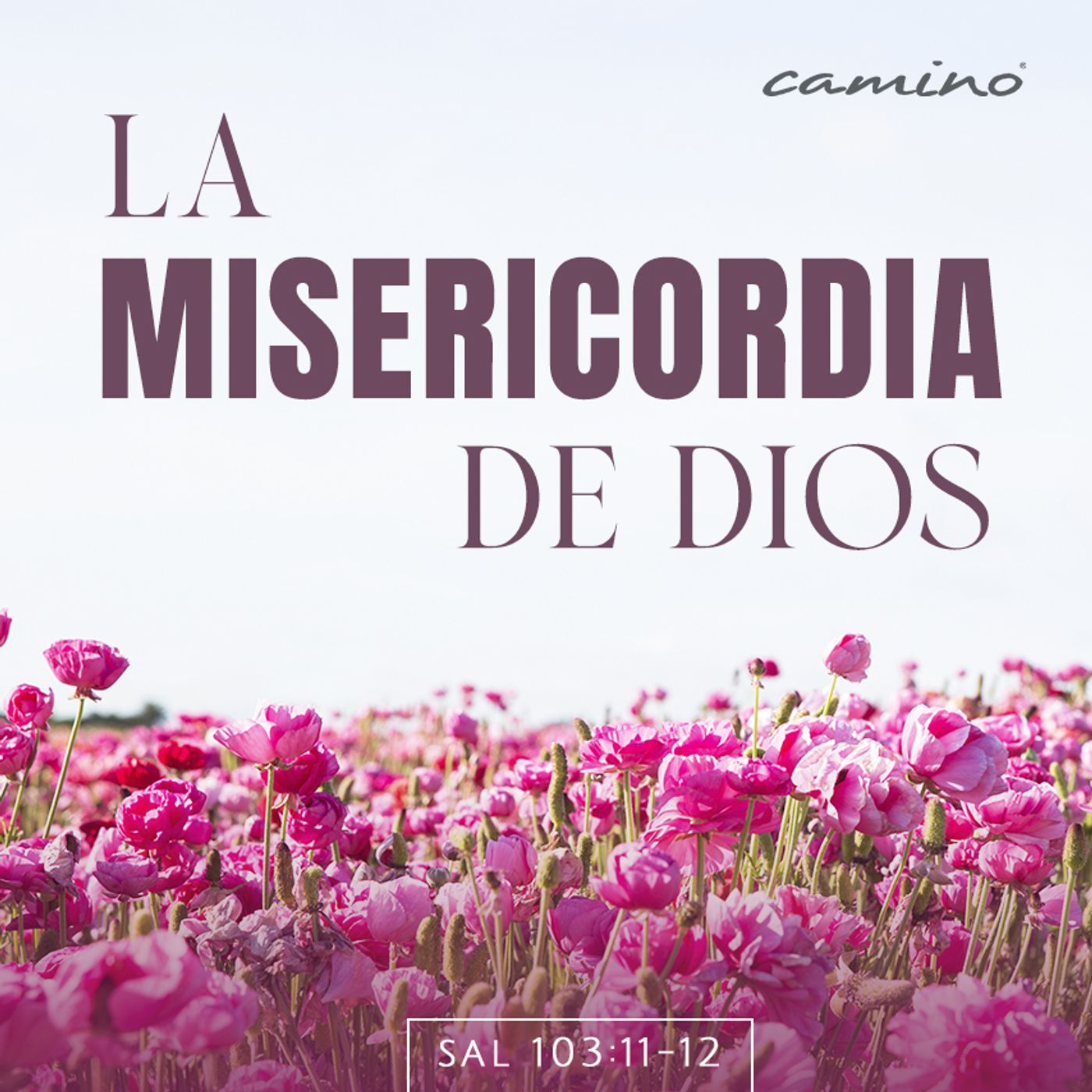 Oración 26 de junio (La misericordia de Dios) episode artwork