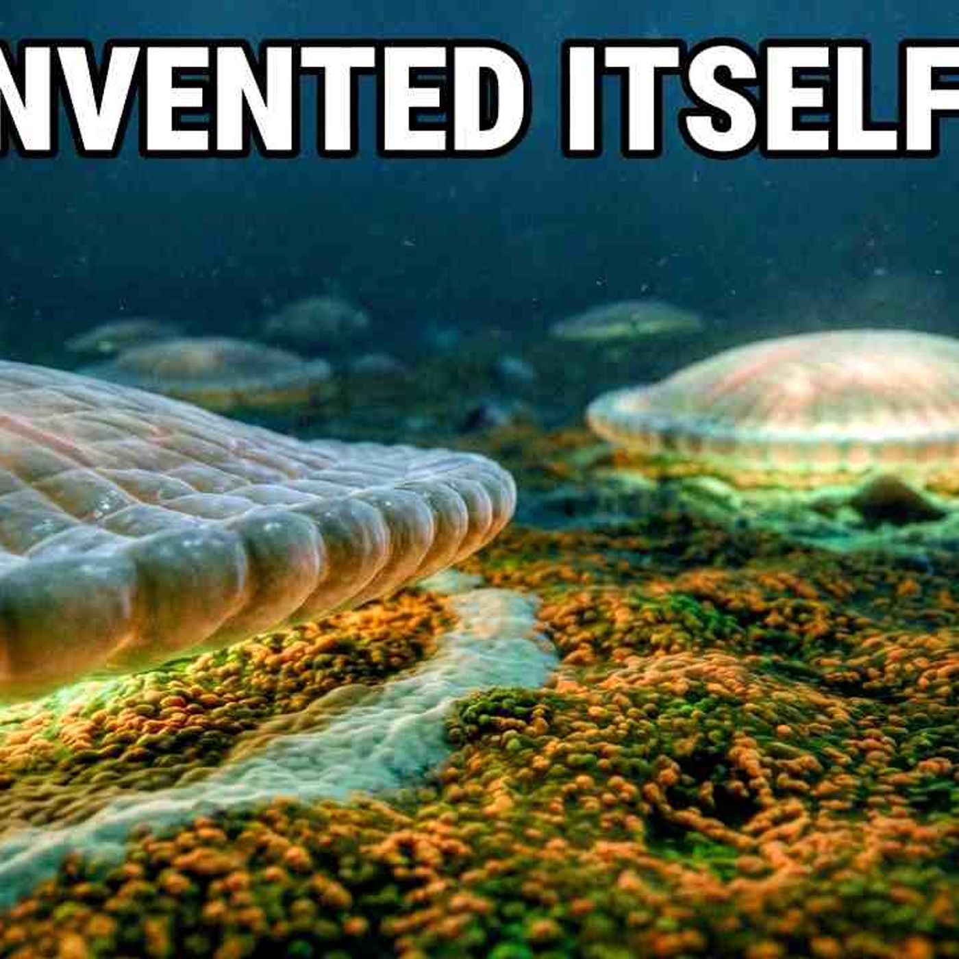 The Cambrian Explosion_ How 20 Million Years Invented Every Animal That Has Ever Lived episode artwork
