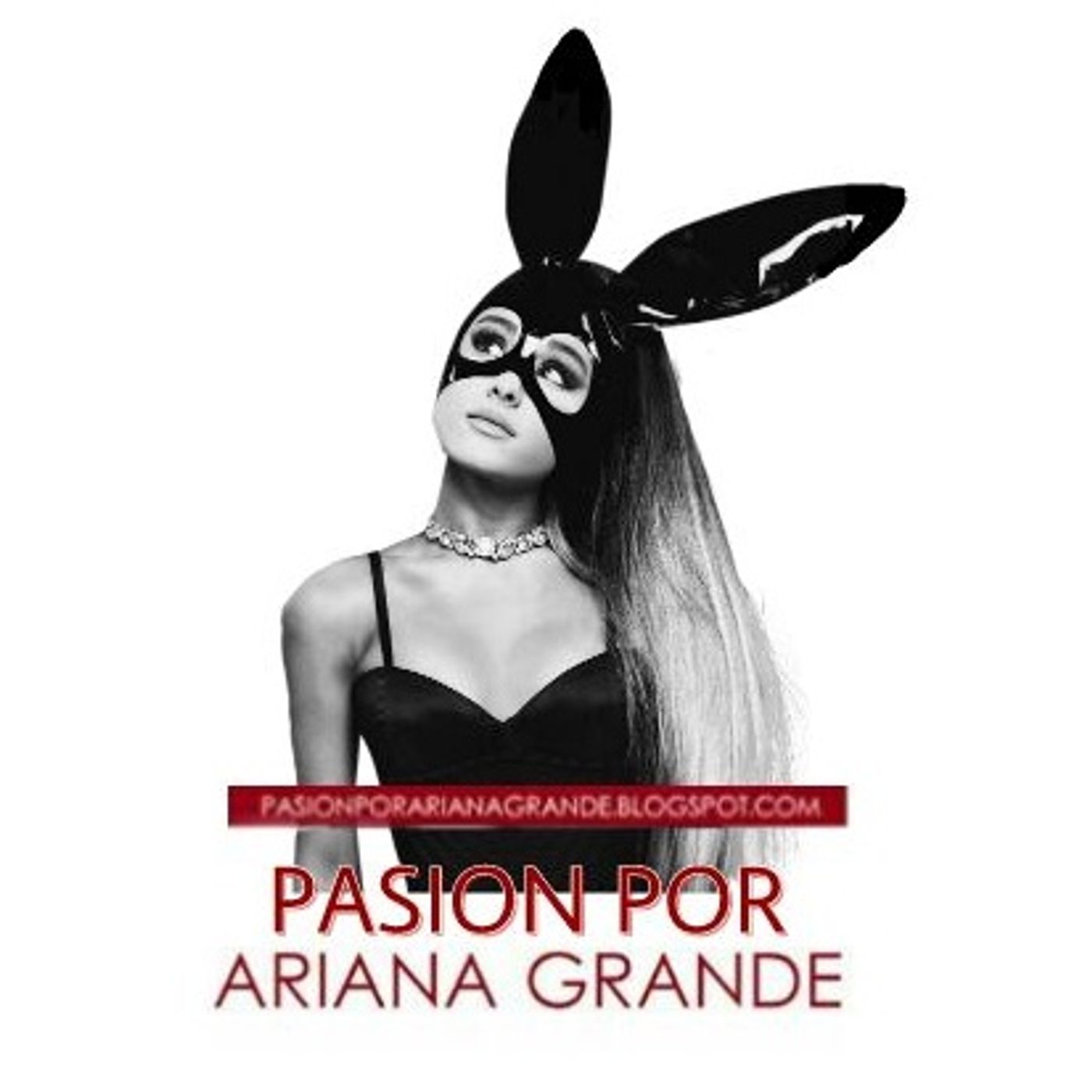 Pasión Por Ariana Grande