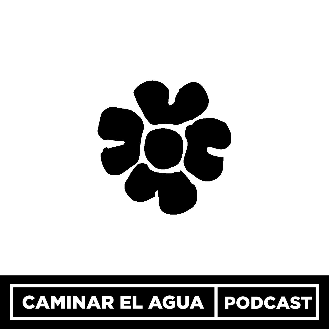 Teaser - lo que descubrirás en este podcast