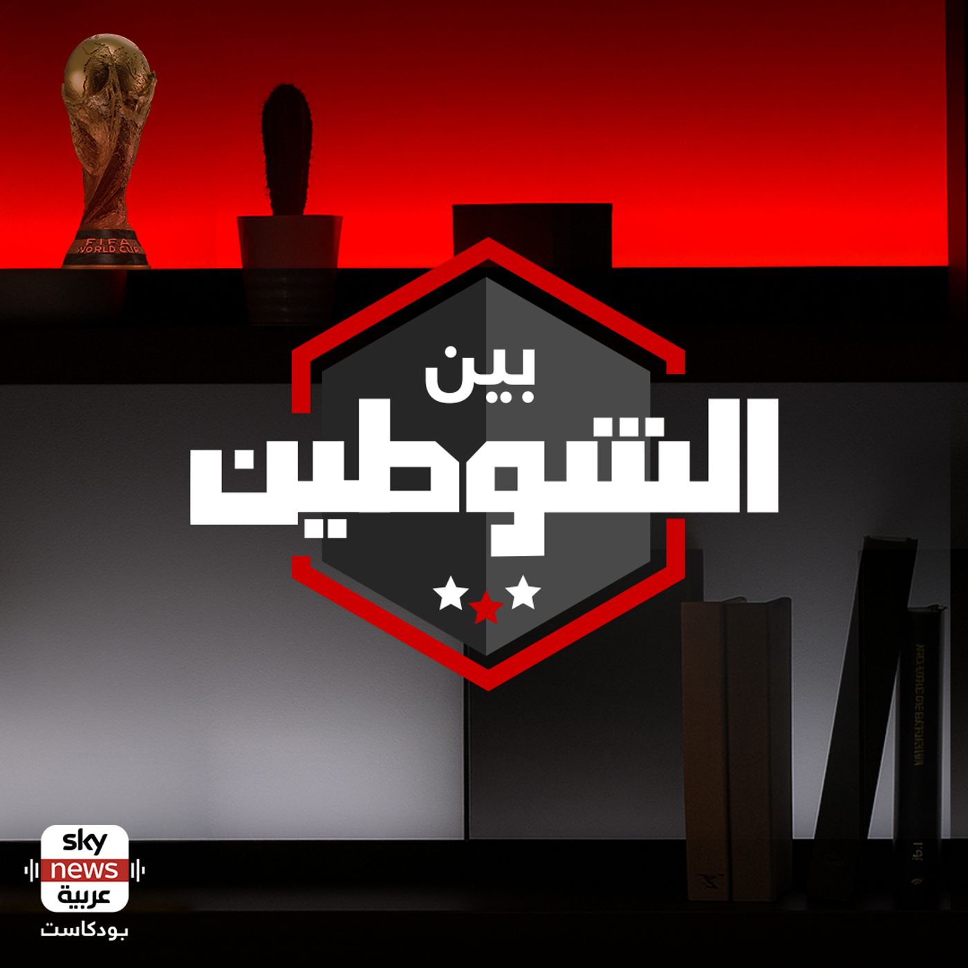 بين الشوطين