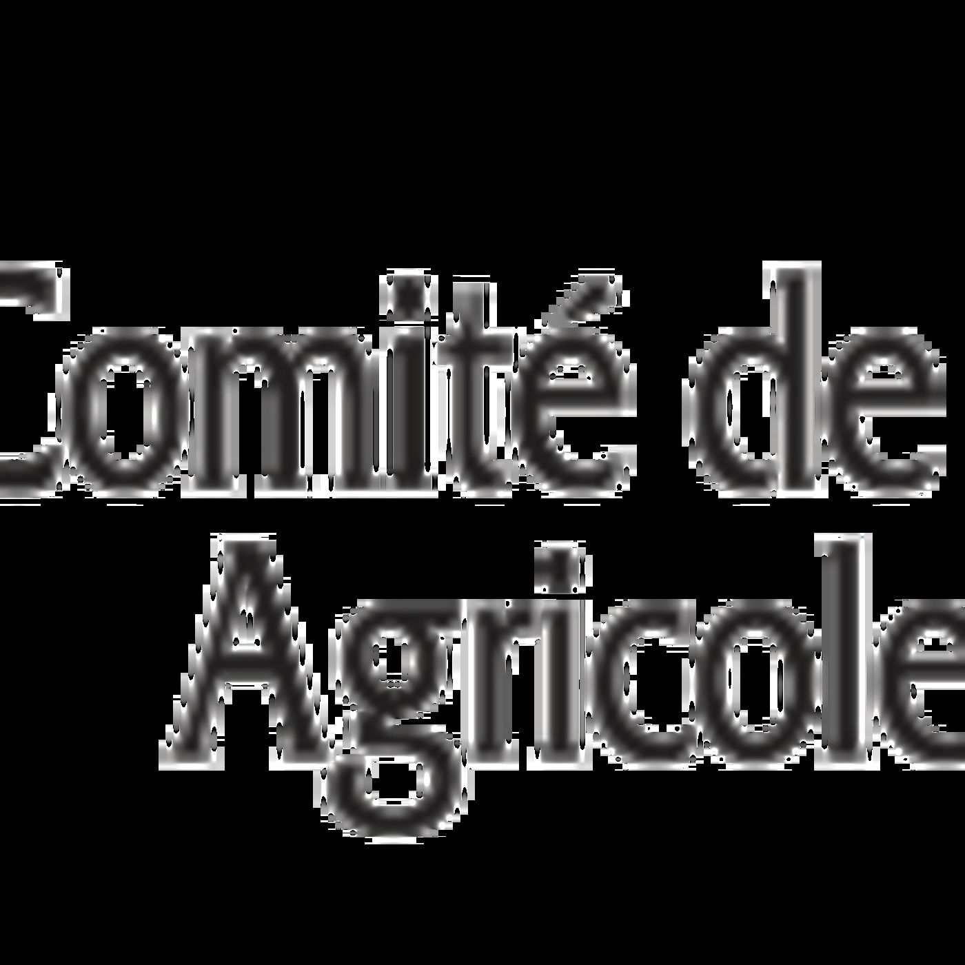 Jeudi 15 janvier après-midi : Fête de la truffe