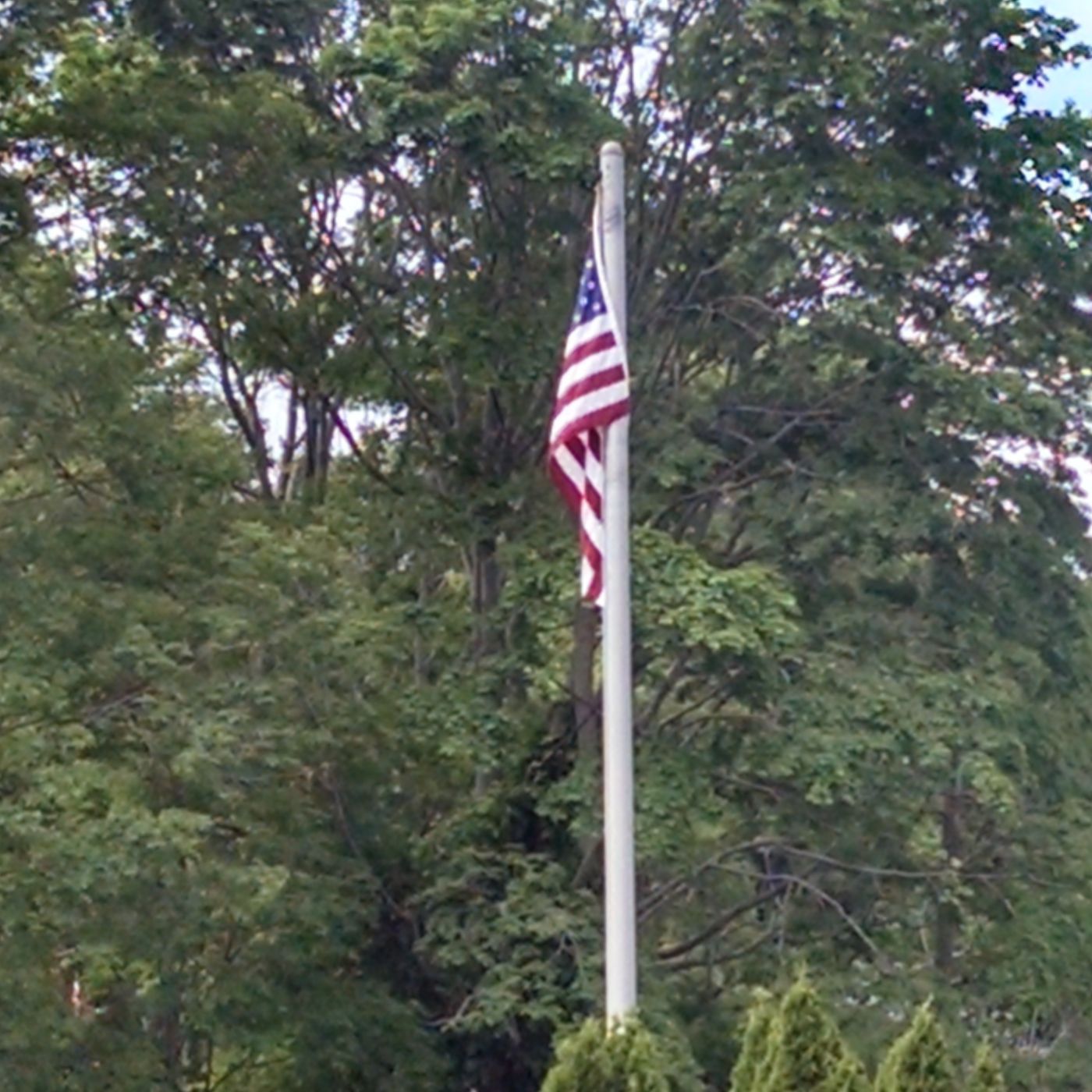 Hypnosiscop's tracks