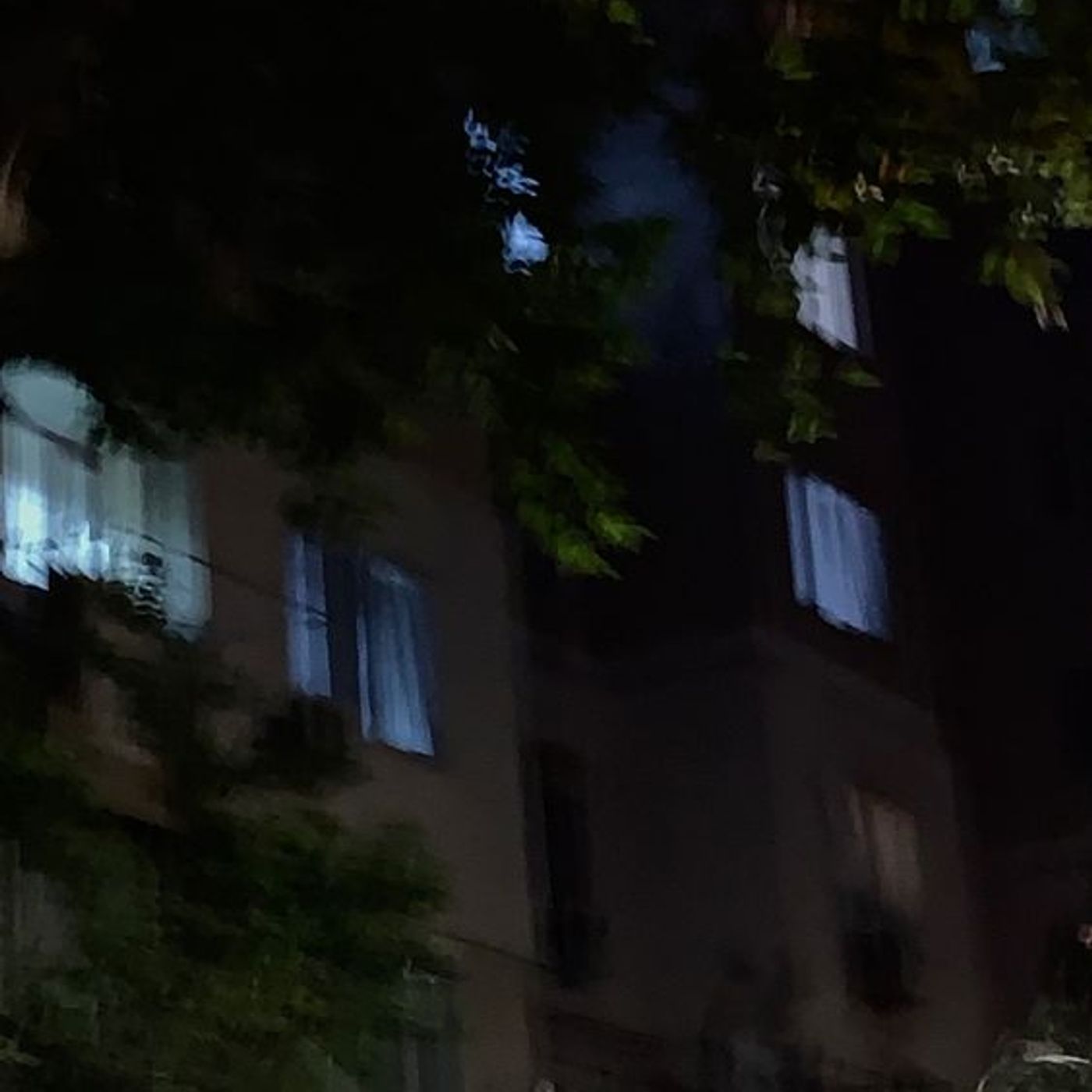 Canzoni di sc