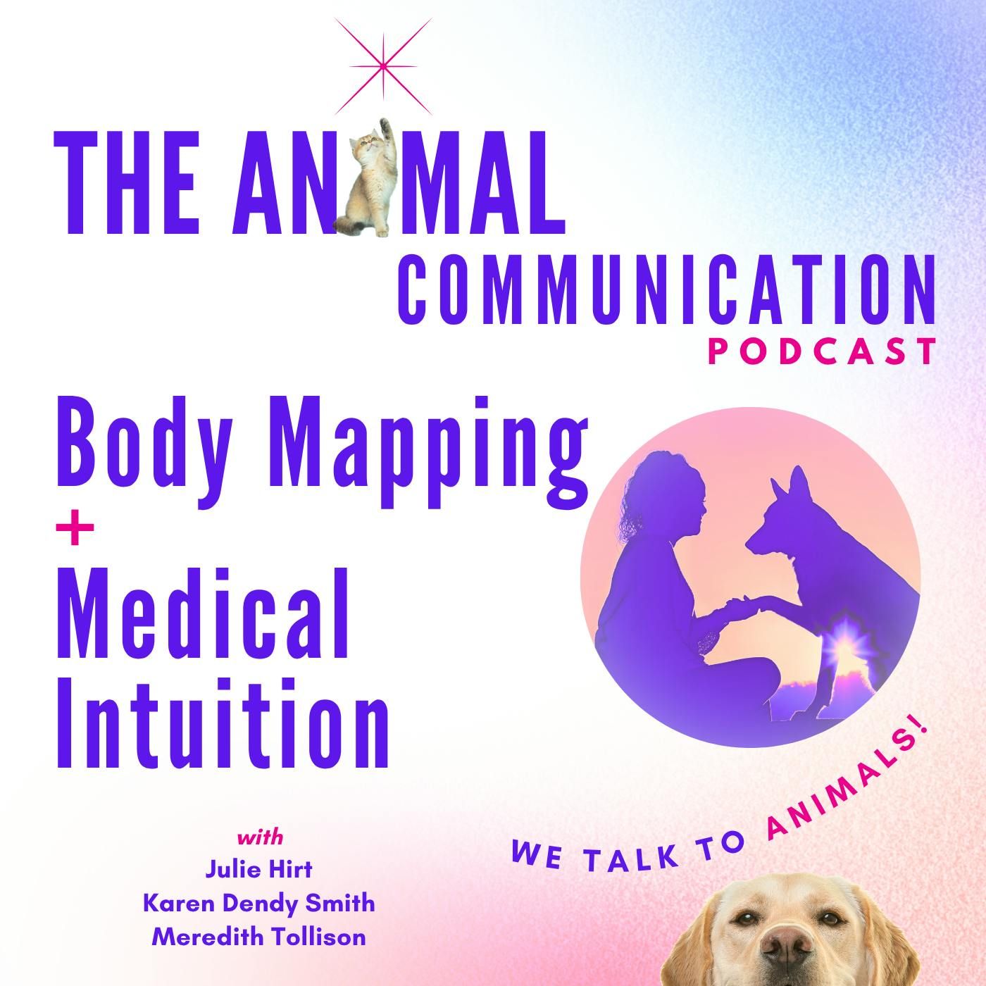 Body Mapping and Medical Intuition