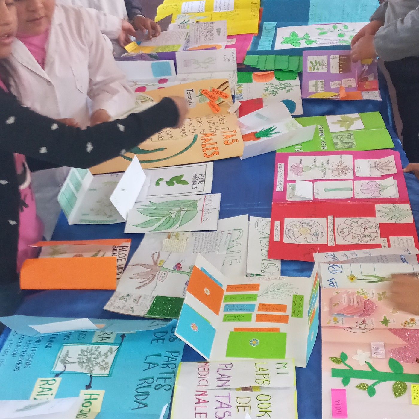 ORIGEN ANCESTRAL cover art