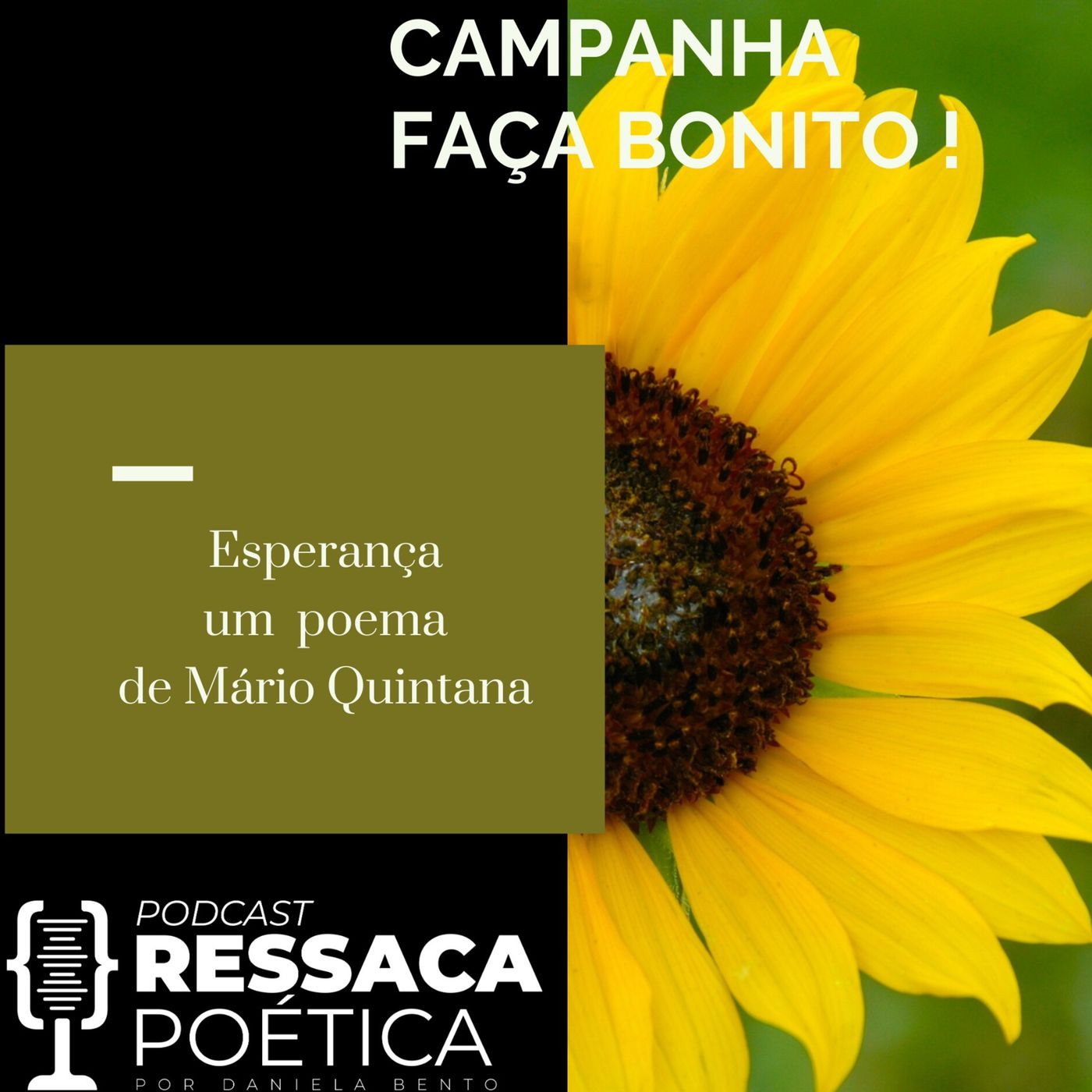 RESSACA POÉTICA