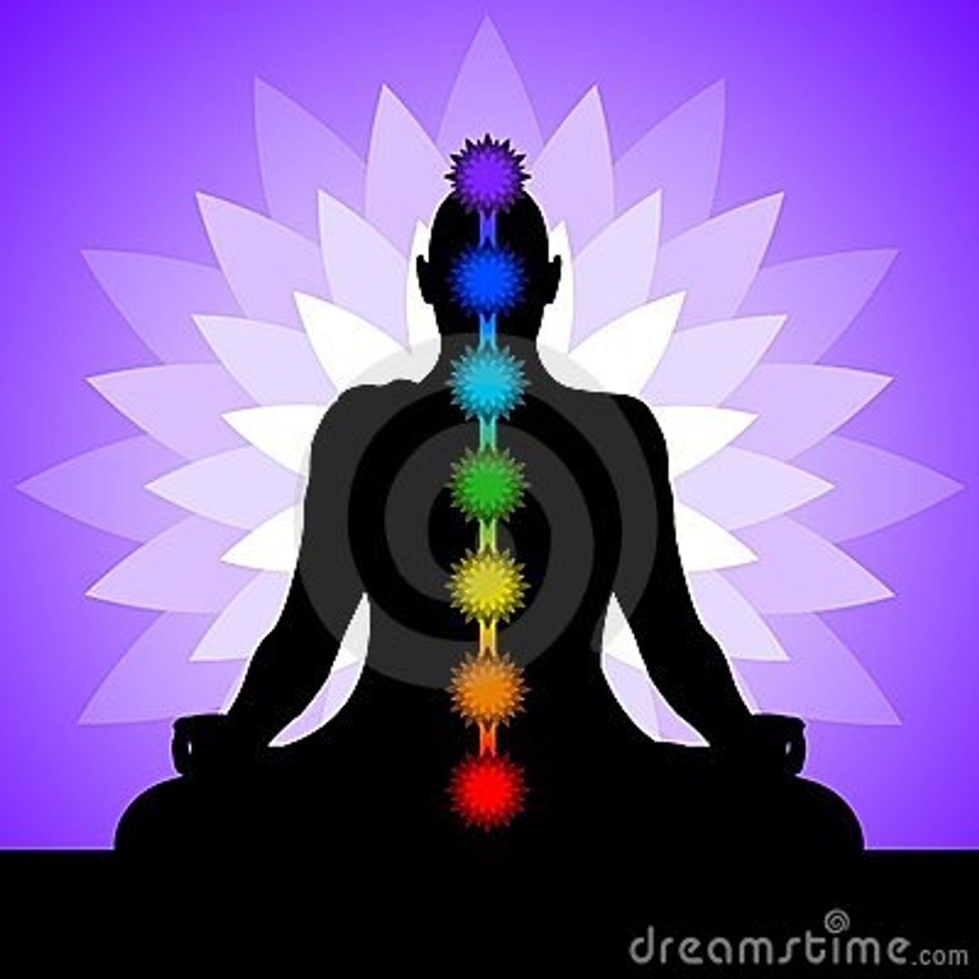 Meditation Two Minute Insights
