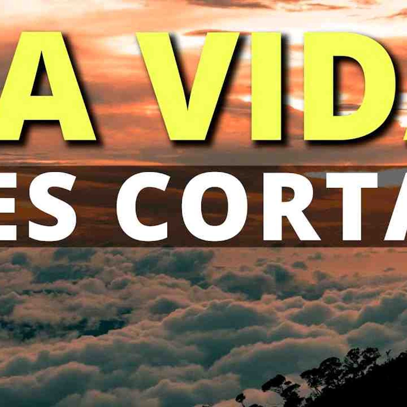 La vida es corta _ Vive cada día para el Señor(MP3_160K)