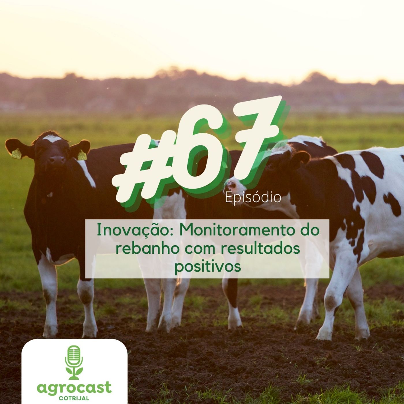 AgroCast Cotrijal