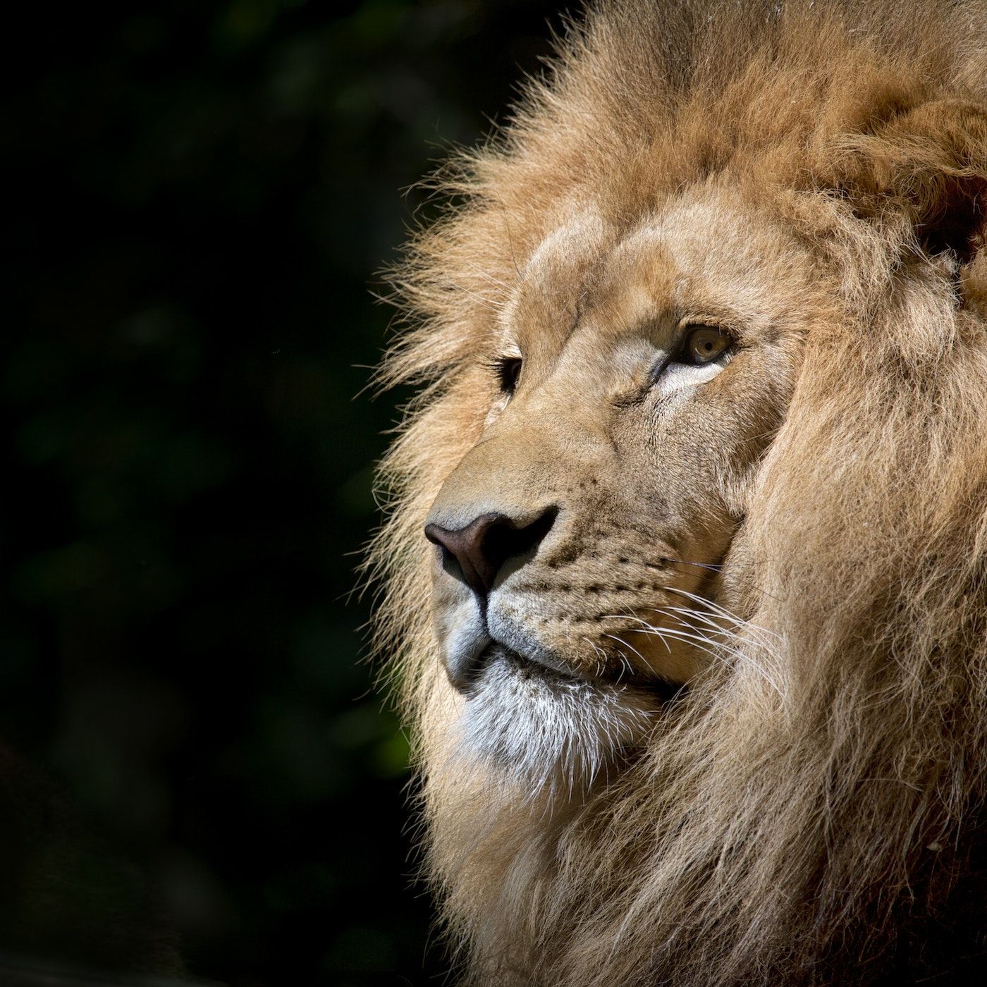 Unleashing Your Potential