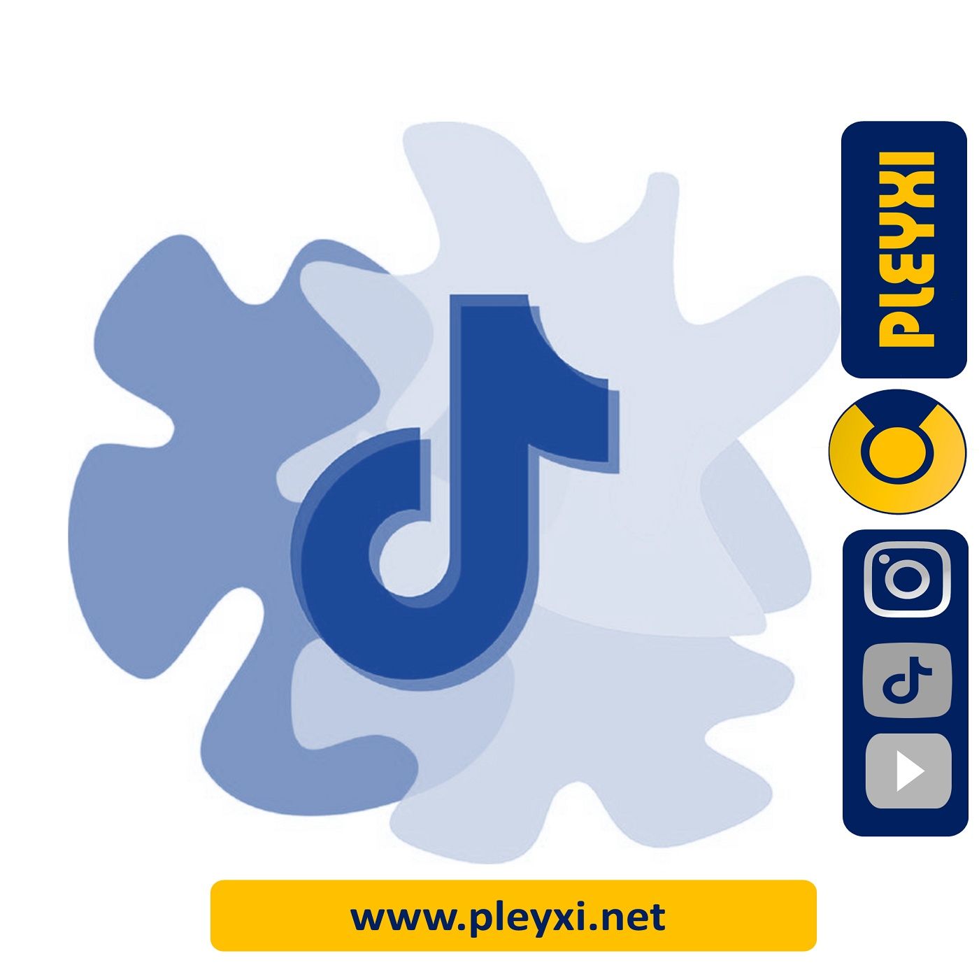 EMPRENDIMIENTO Y MARKETING DIGITAL- PLEYXI