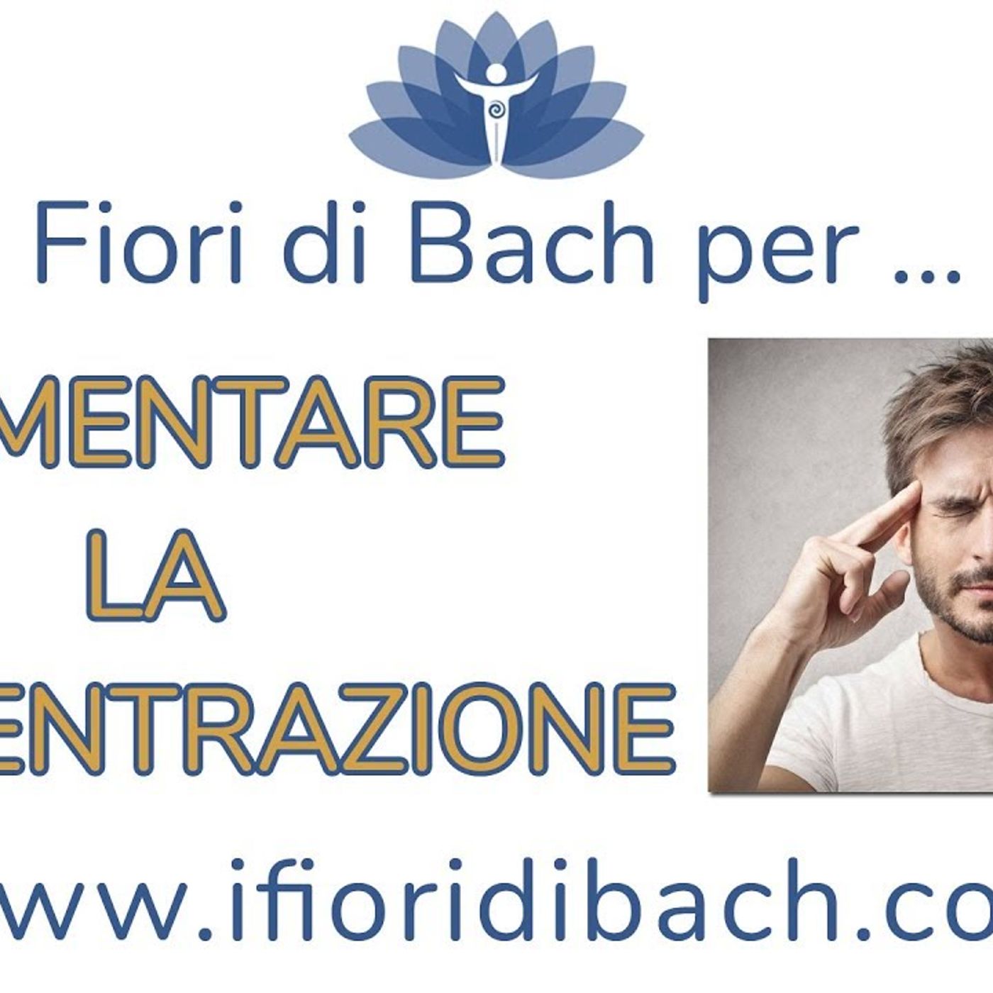 Fiori di Bach per aumentare la concentrazione episode artwork