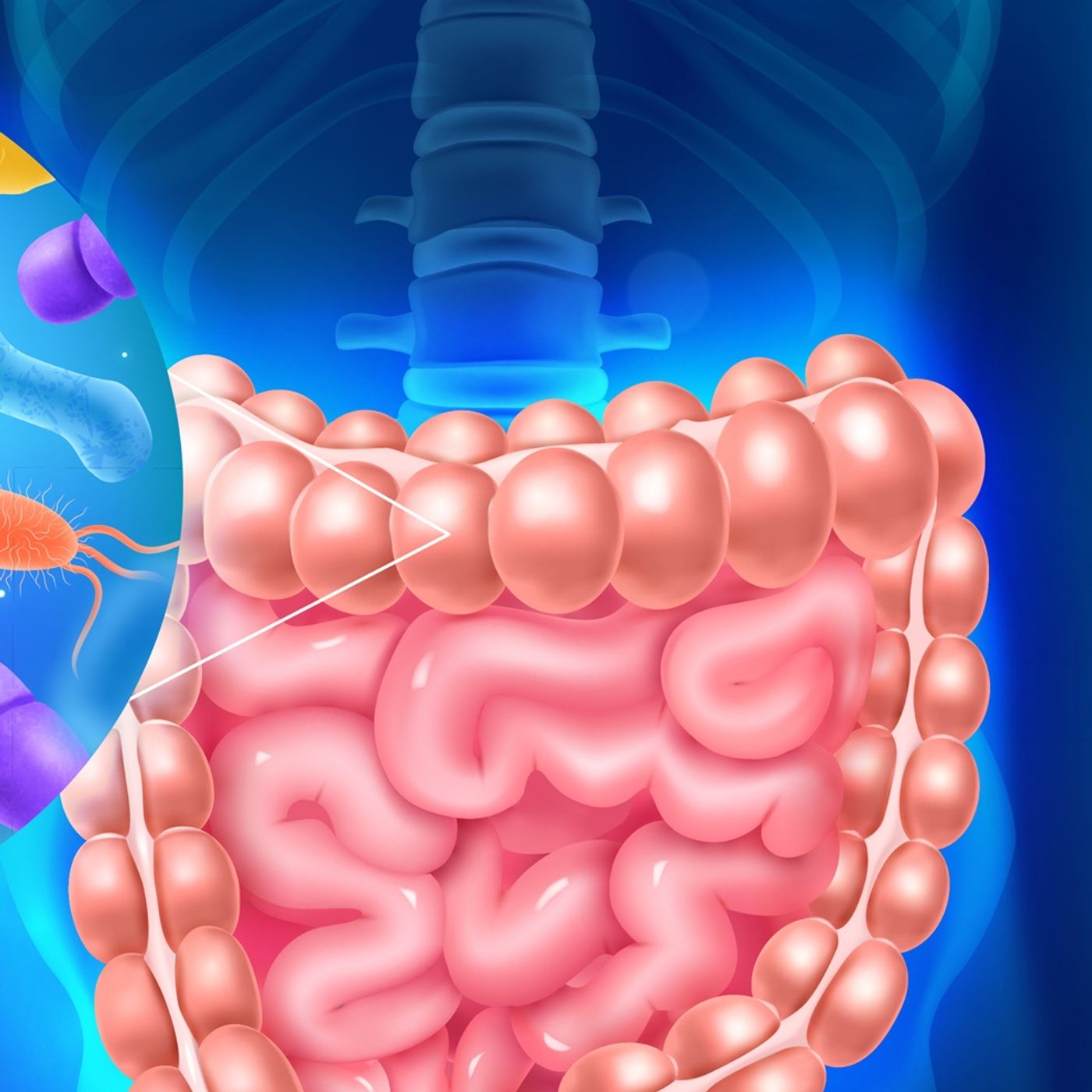 Disturbi del comportamento alimentare: il ruolo del microbiota episode artwork