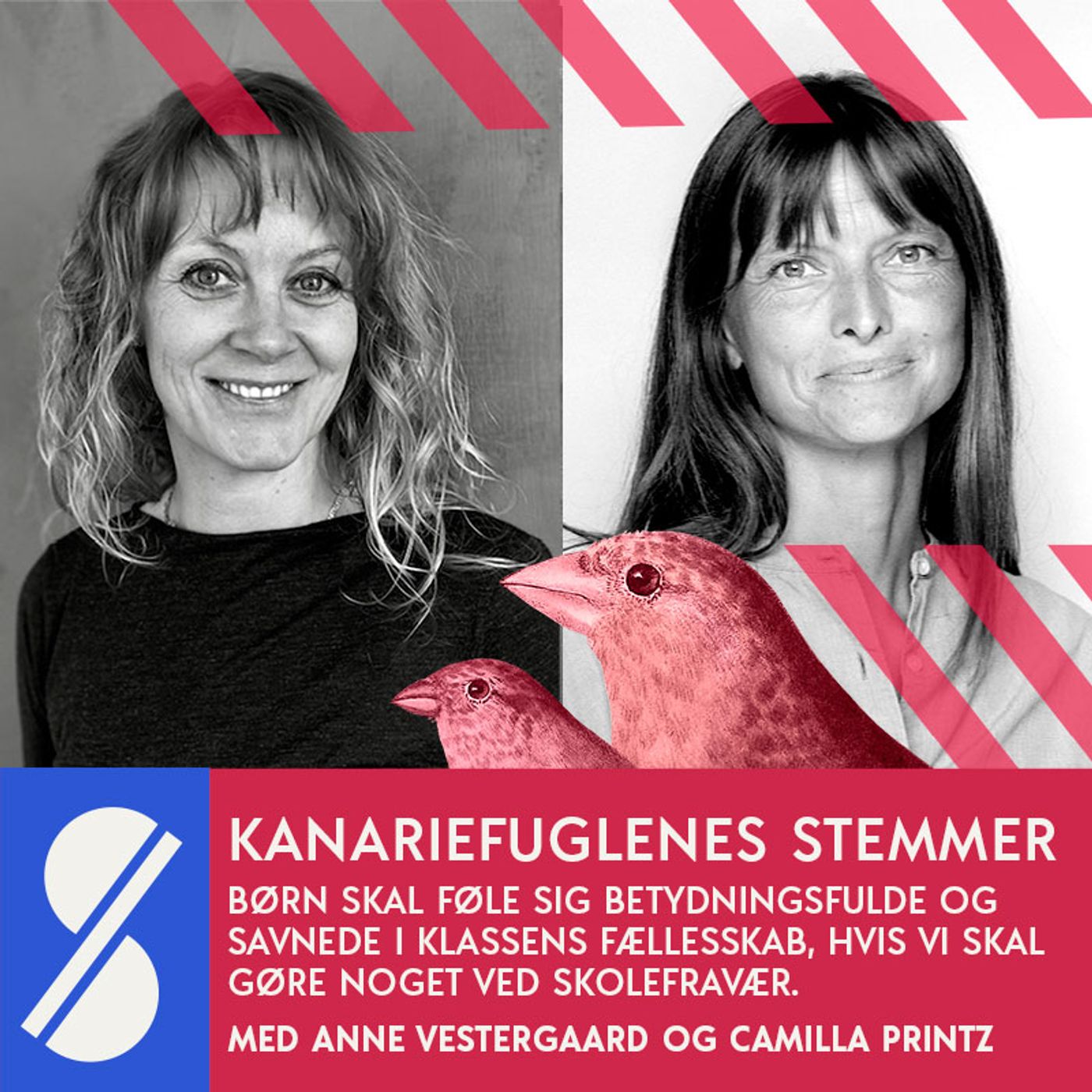 Kanariefuglenes stemmer