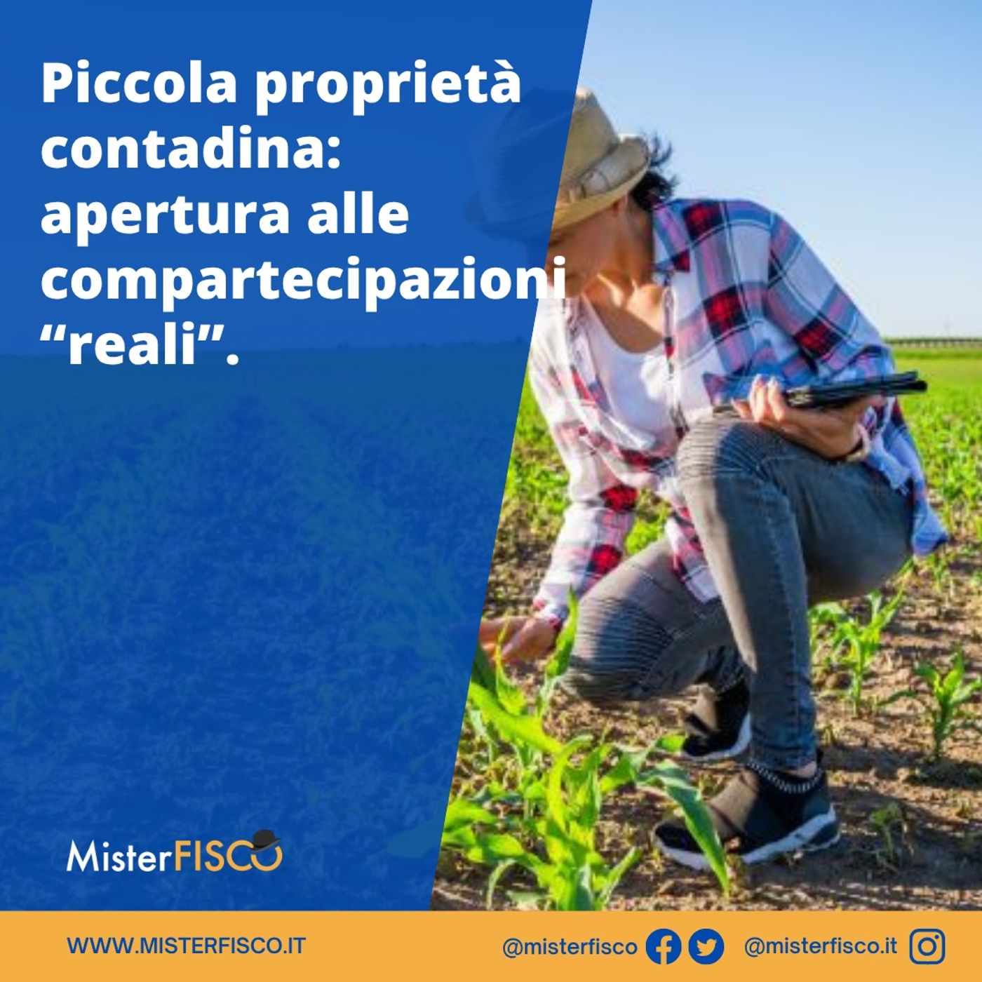 Piccola proprietà contadina: apertura alle compartecipazioni “reali” episode artwork