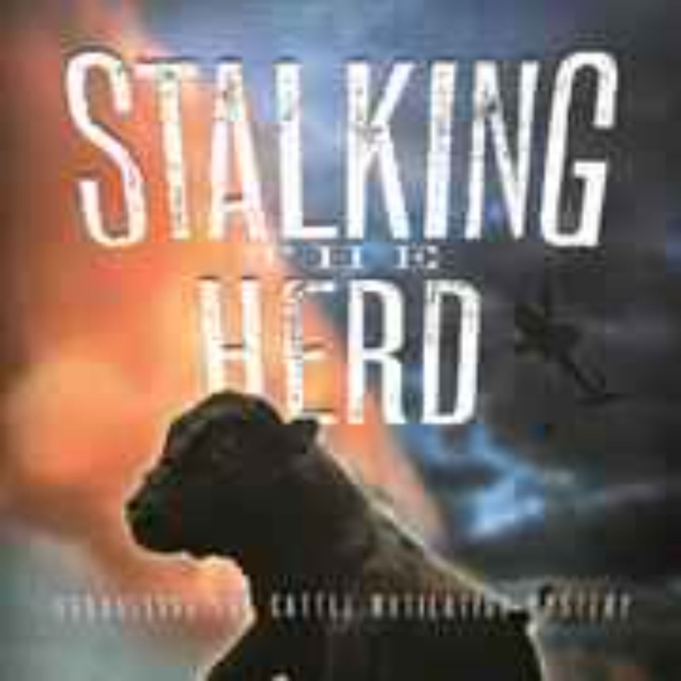 Chris O'Brien on Stalking the Herd - Part 2 - June 21, 2014