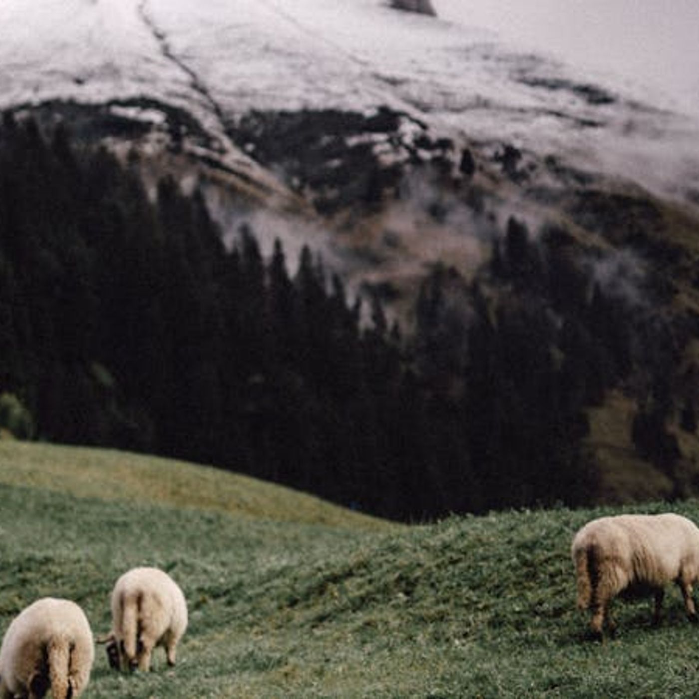 Christ’s Plan for the Globe — and You