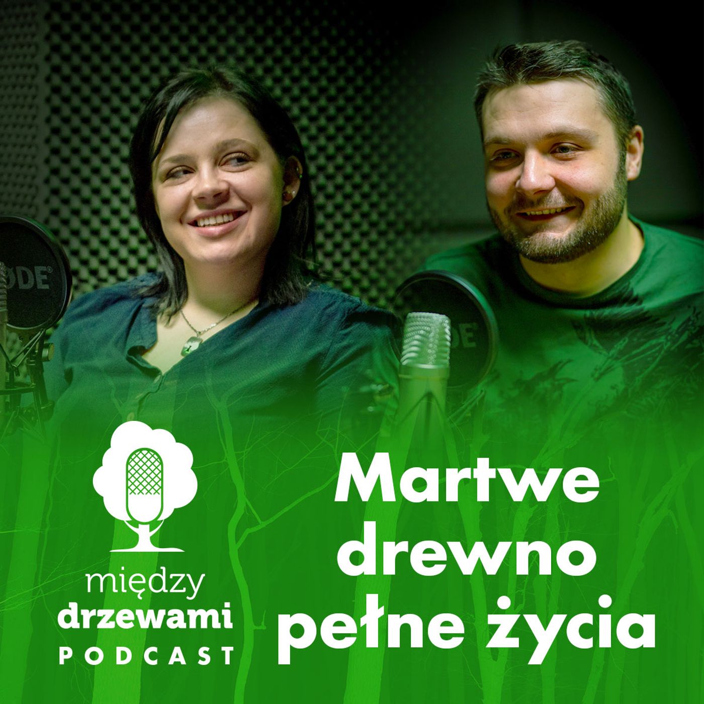 Między Drzewami Podcast