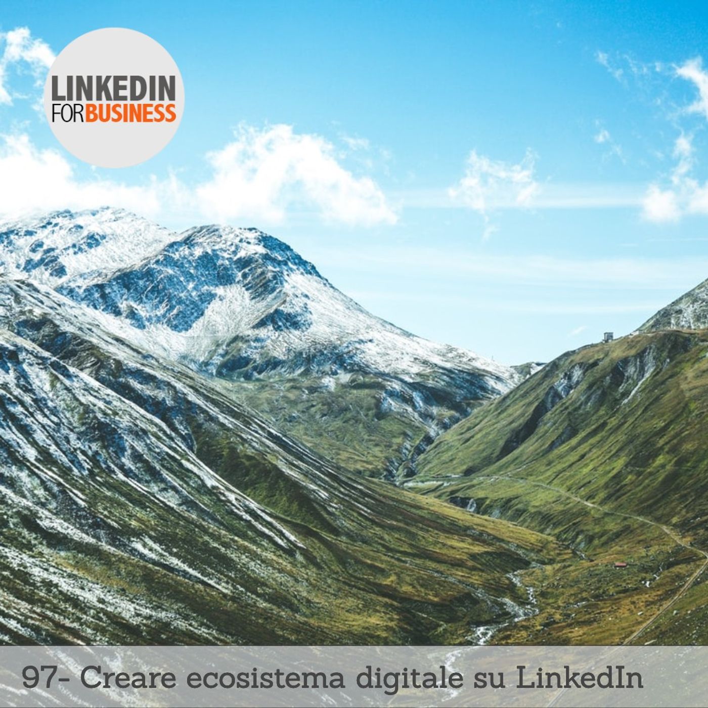 LinkedinForBusiness by Leonardo Bellini