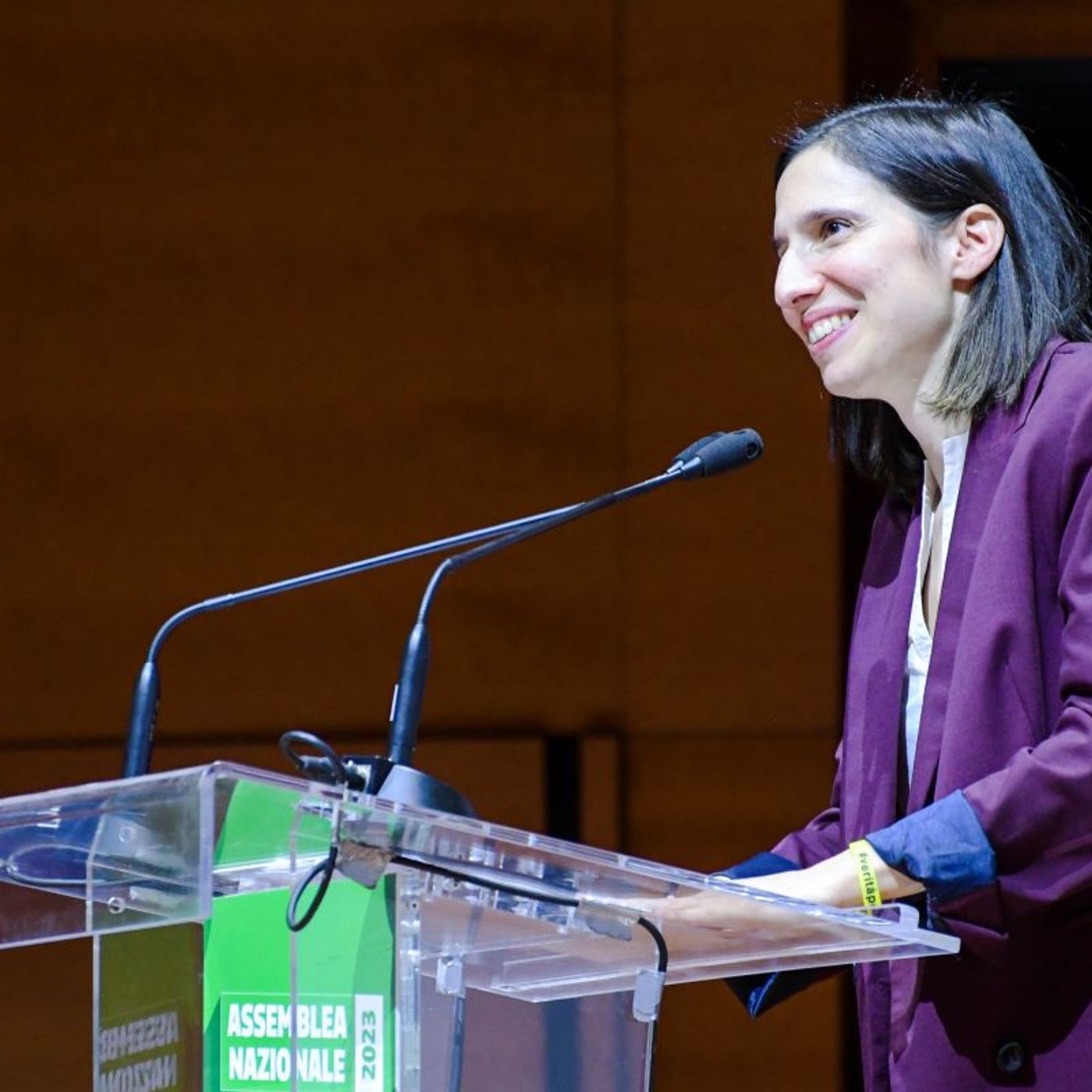 Schlein, per chi vuol capire