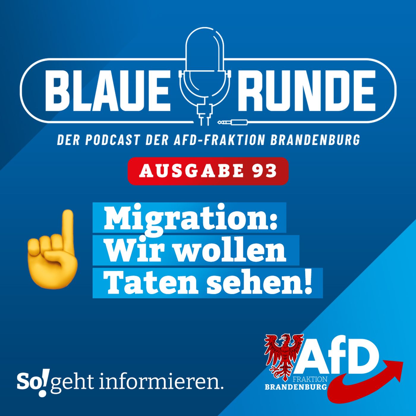 Migration: Wir wollen Taten sehen! | Die BLAUE RUNDE, Ausgabe 93/23 vom 15.11.2023 episode artwork