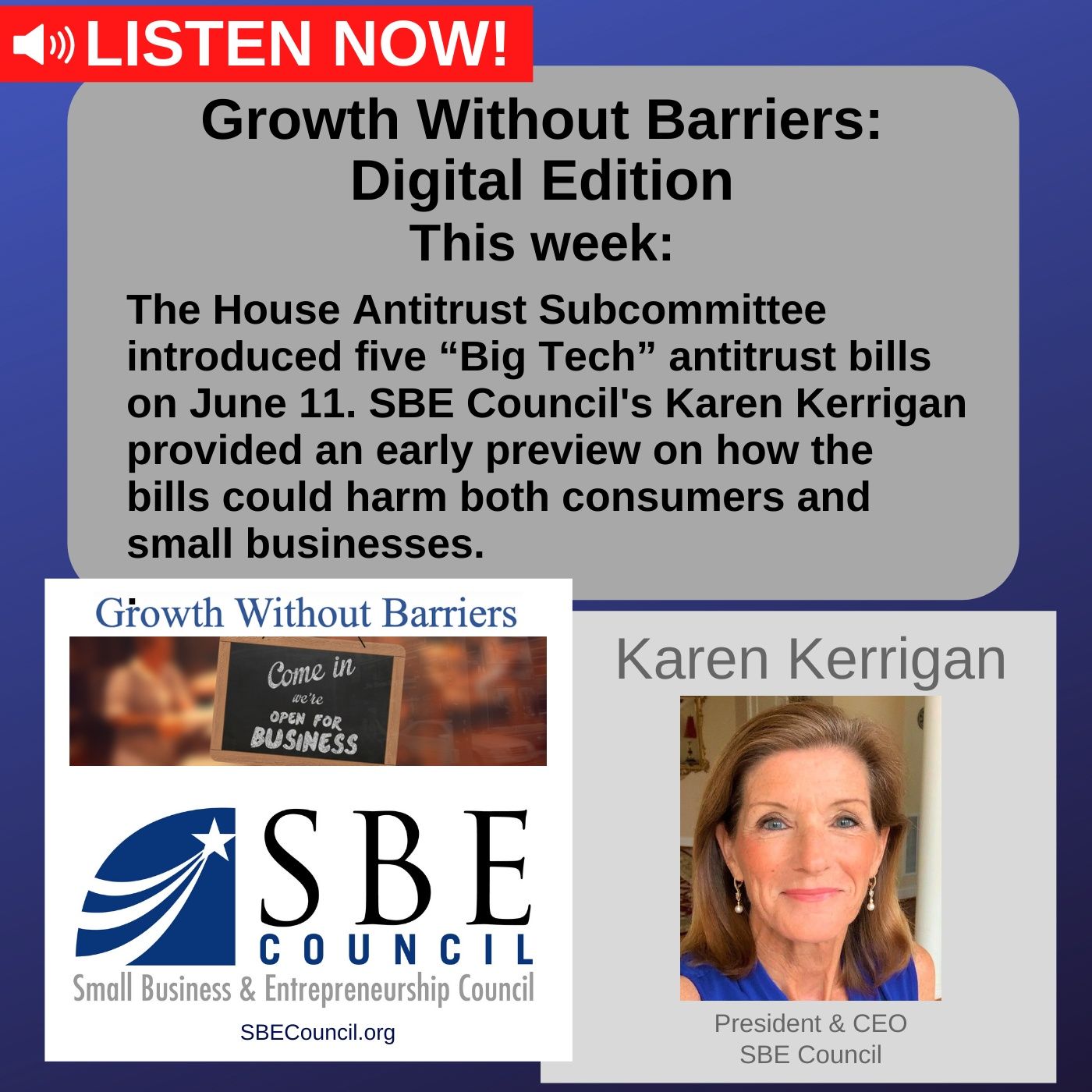 Growth Without Barriers - DIGITAL EDITION: How House “Big Tech” Antitrust Bills could harm consumers and small businesses. episode artwork