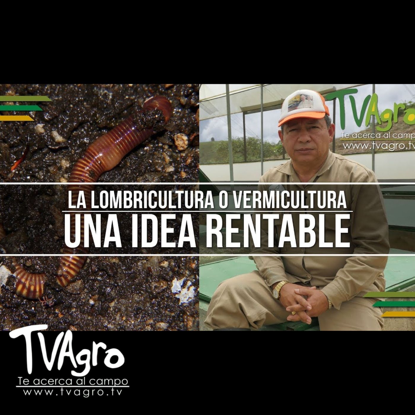 TV AGRO