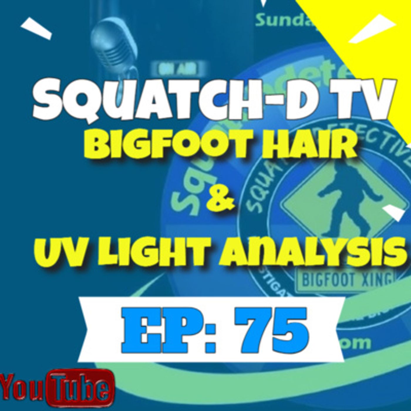 The Bigfoot Mystery - Squatch-D TV
