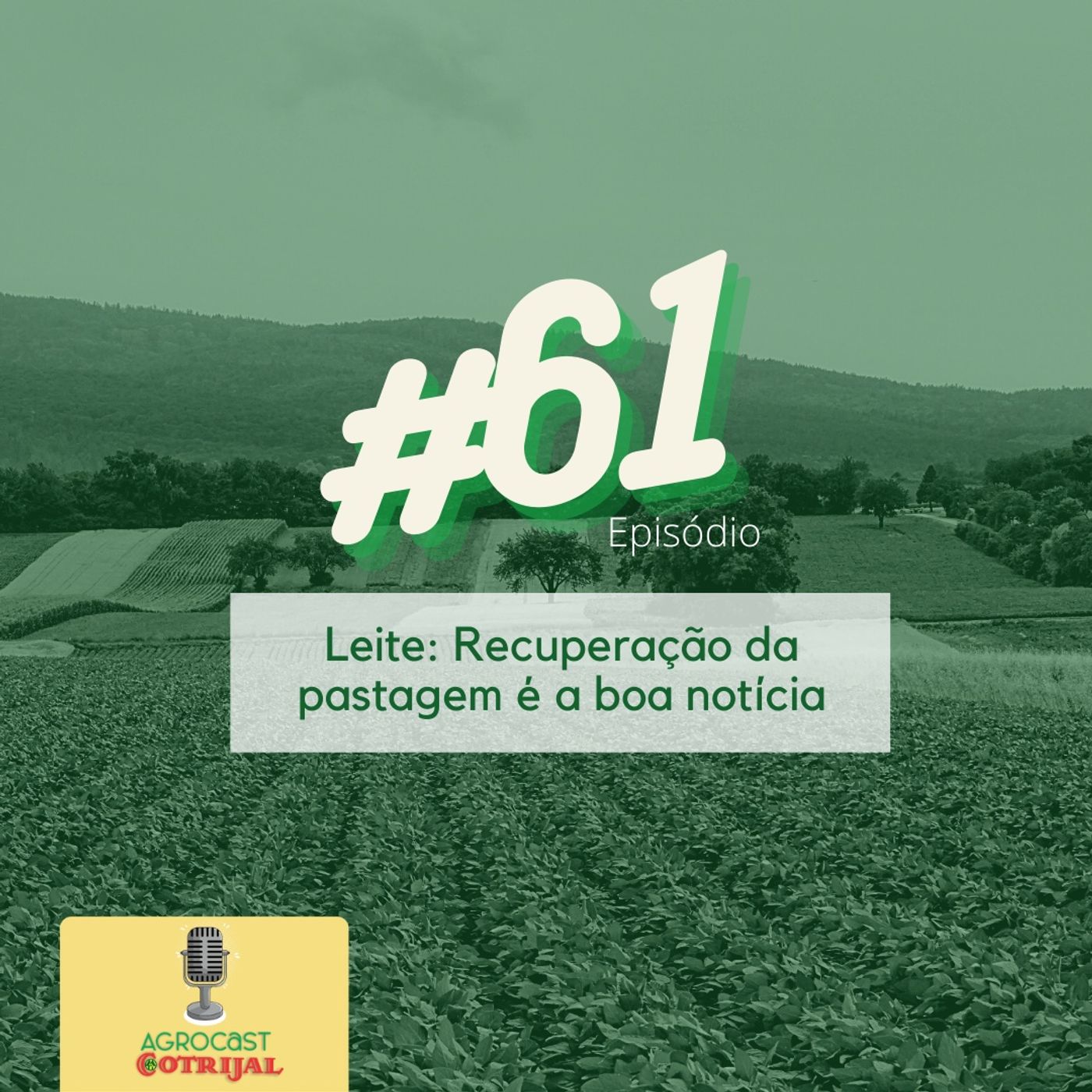 AgroCast Cotrijal