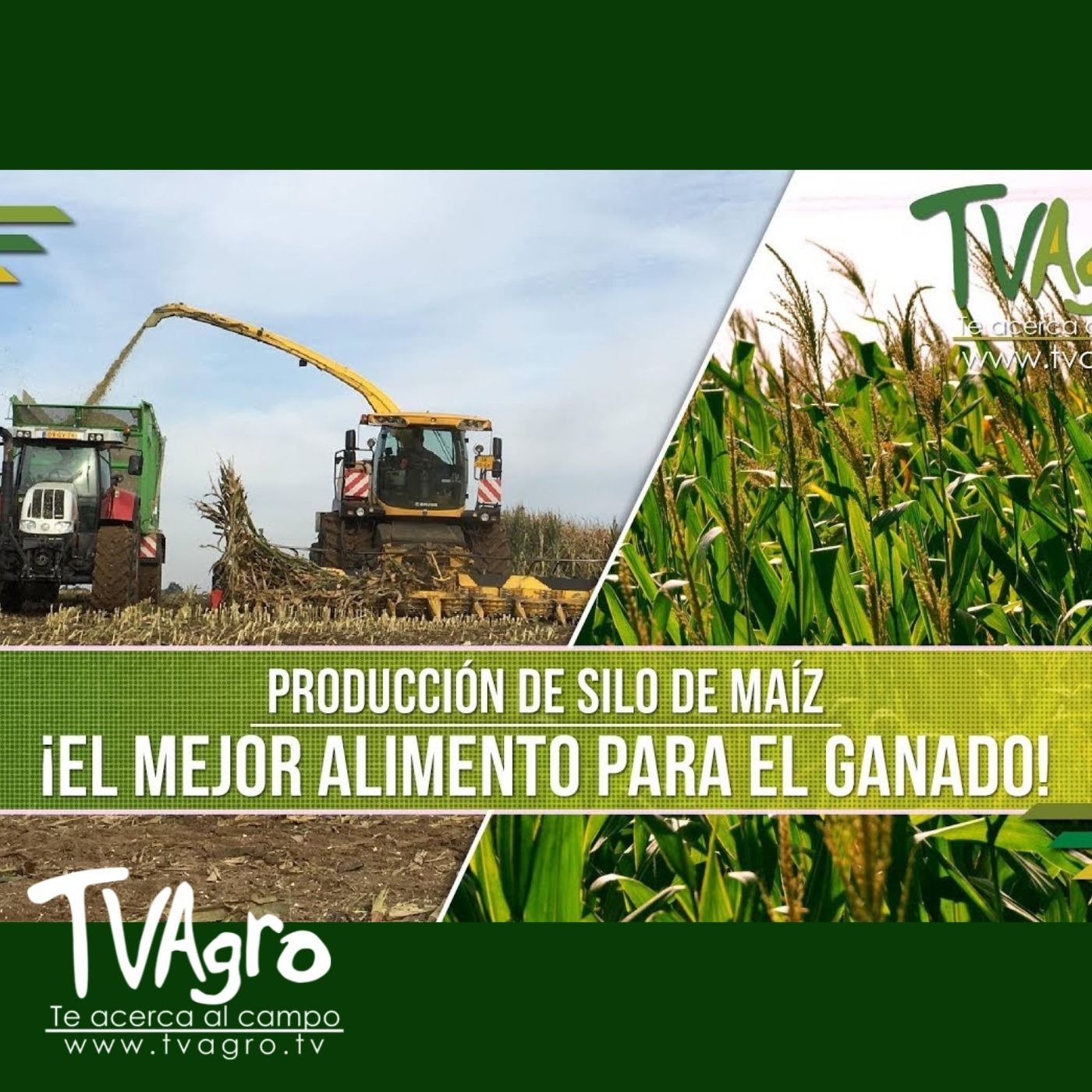 TV AGRO