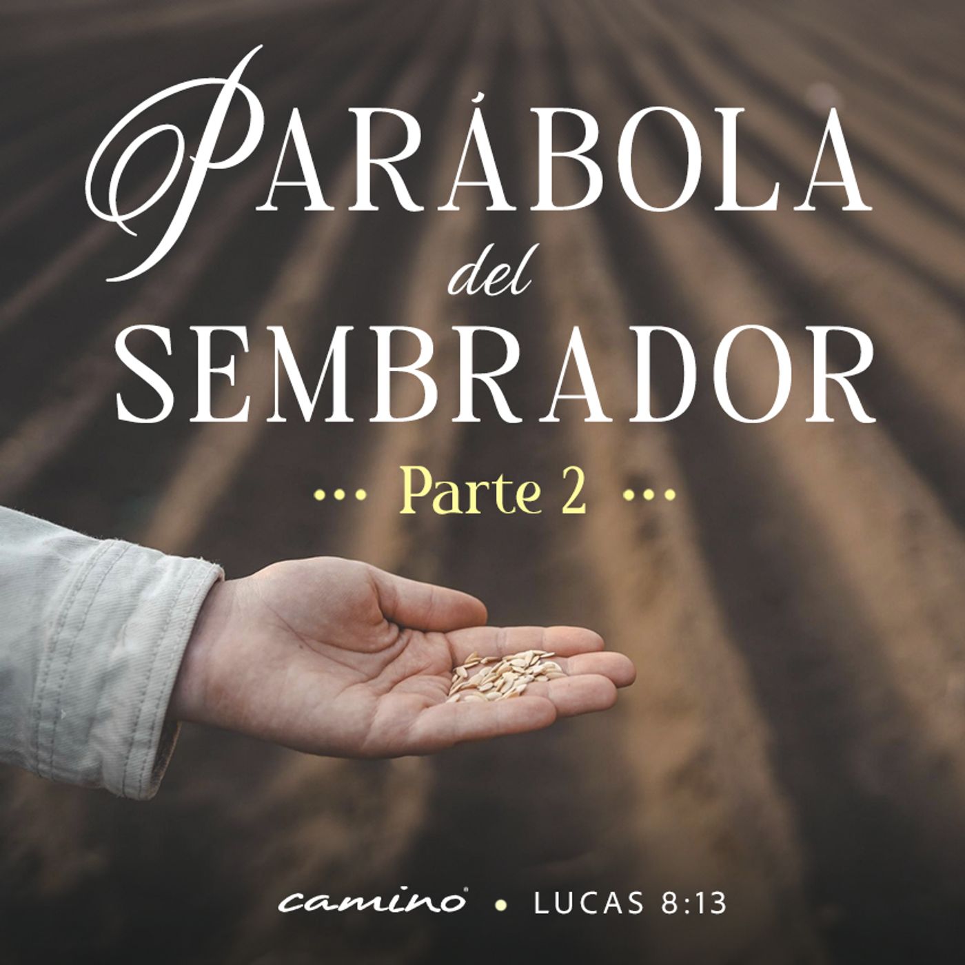 Oración 5 de noviembre (Parábola del sembrador parte 2) episode artwork