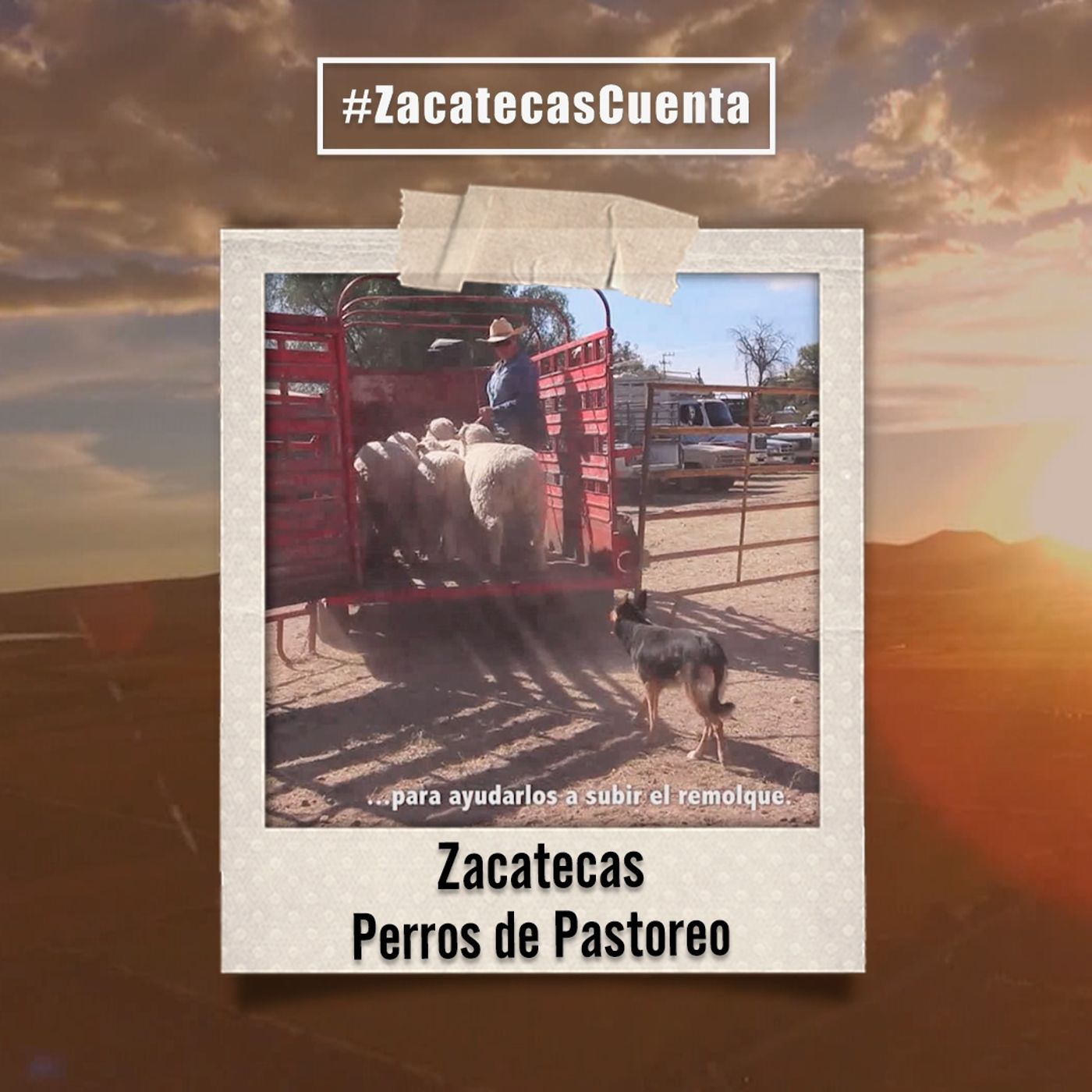 Zacatecas Cuenta