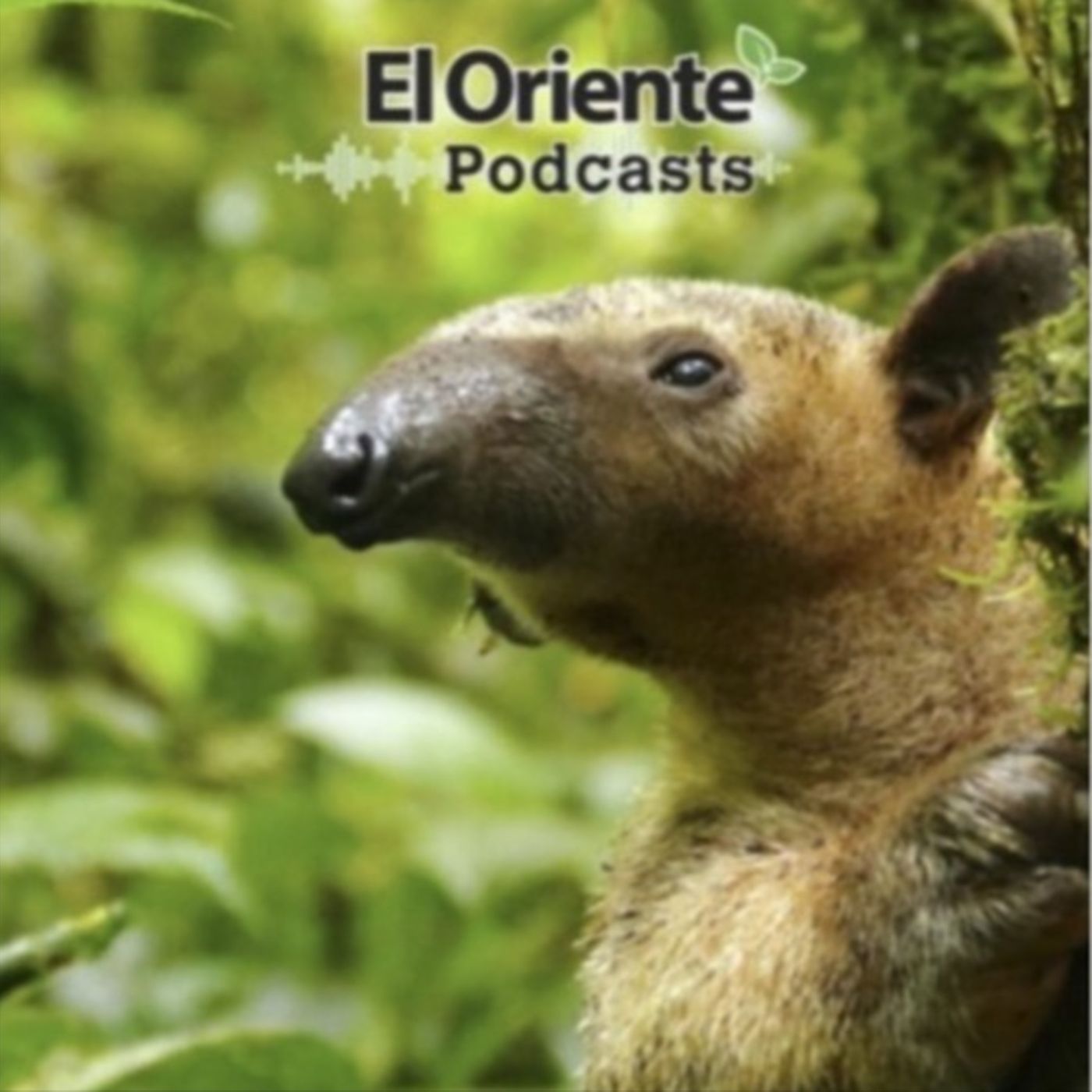 La Voz de la Amazonía