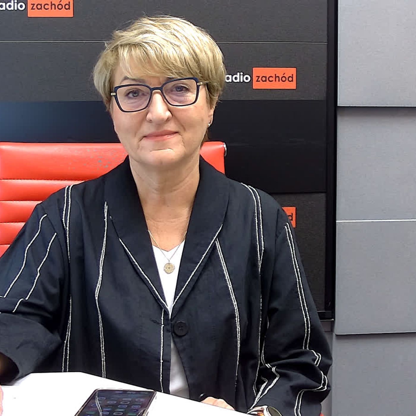 Elżbieta Polak, posłanka PO episode artwork