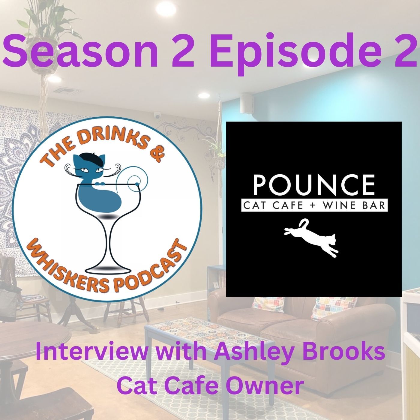 The Drinks & Whiskers Podcast