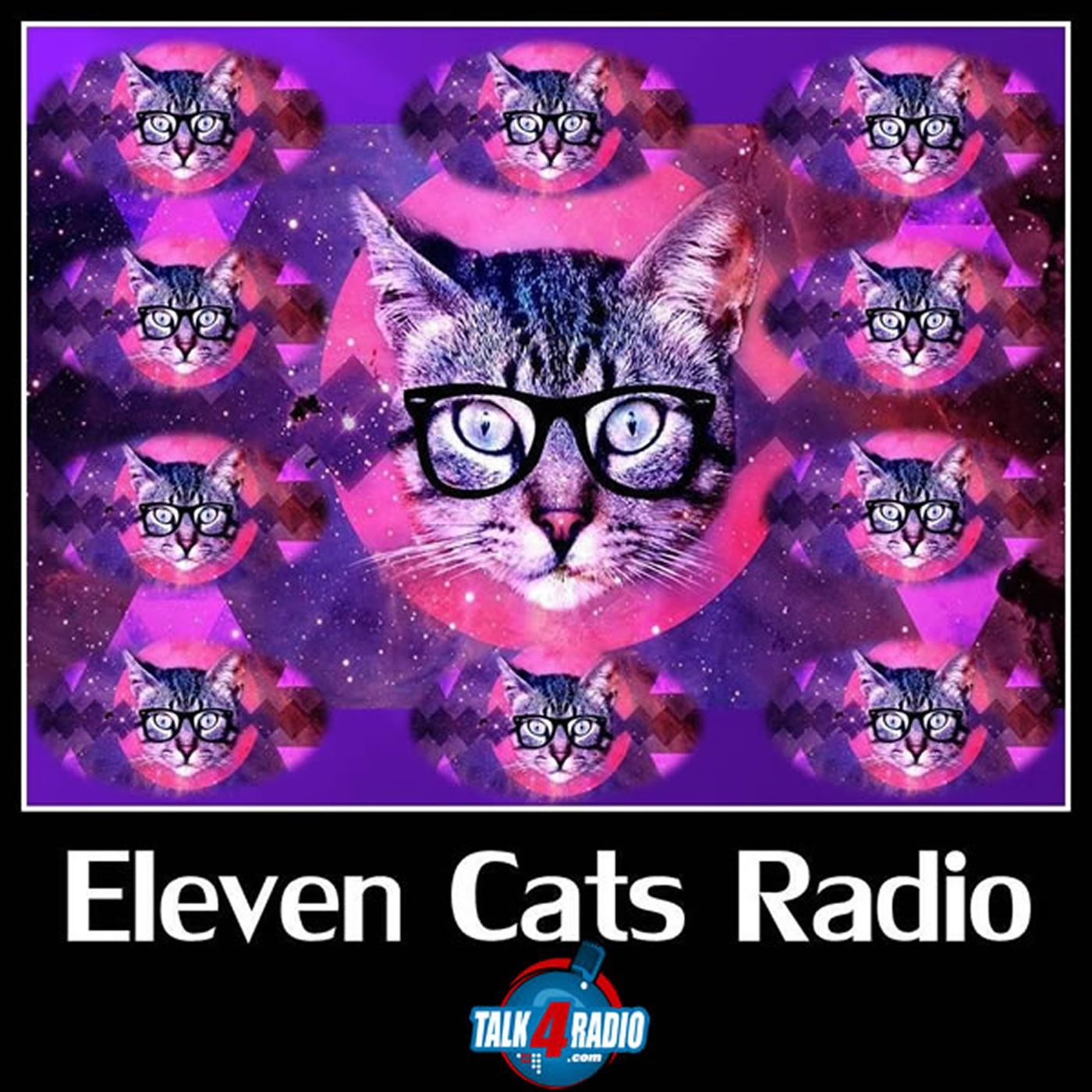 Eleven Cats Radio & Friends