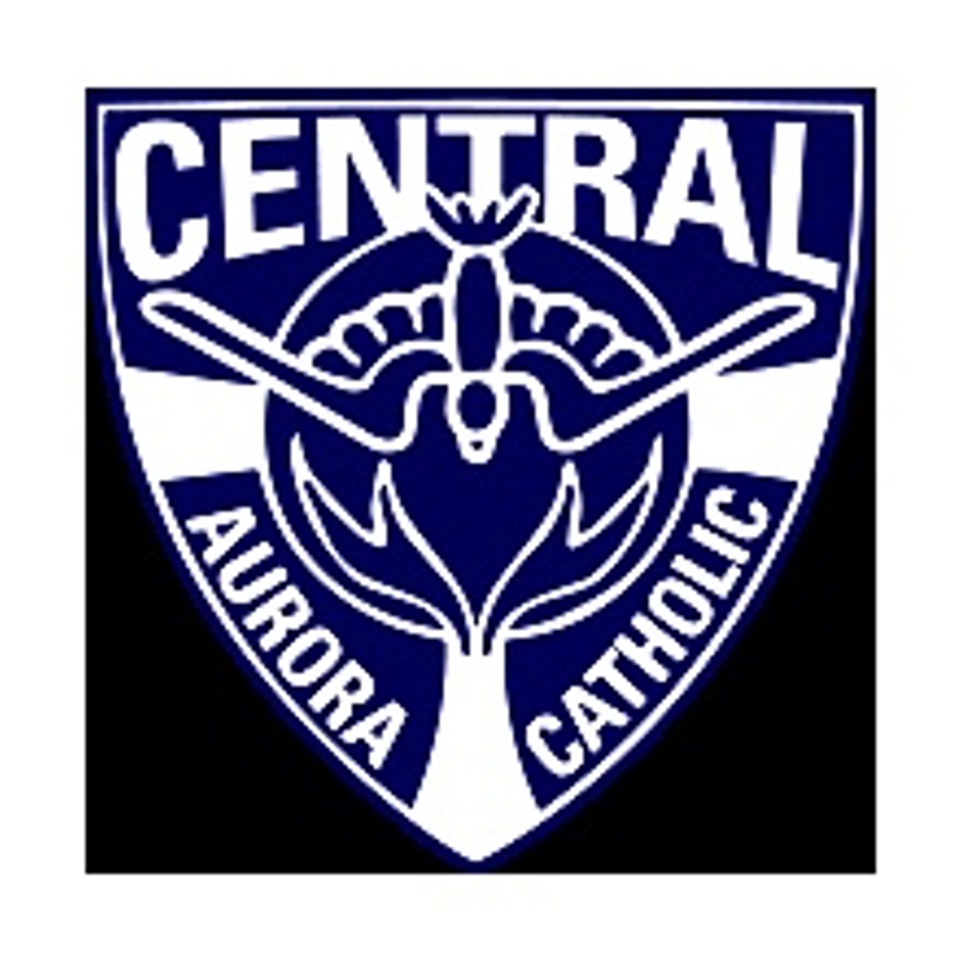 St. Edward rallies in second half to beat Aurora Central Catholic episode artwork