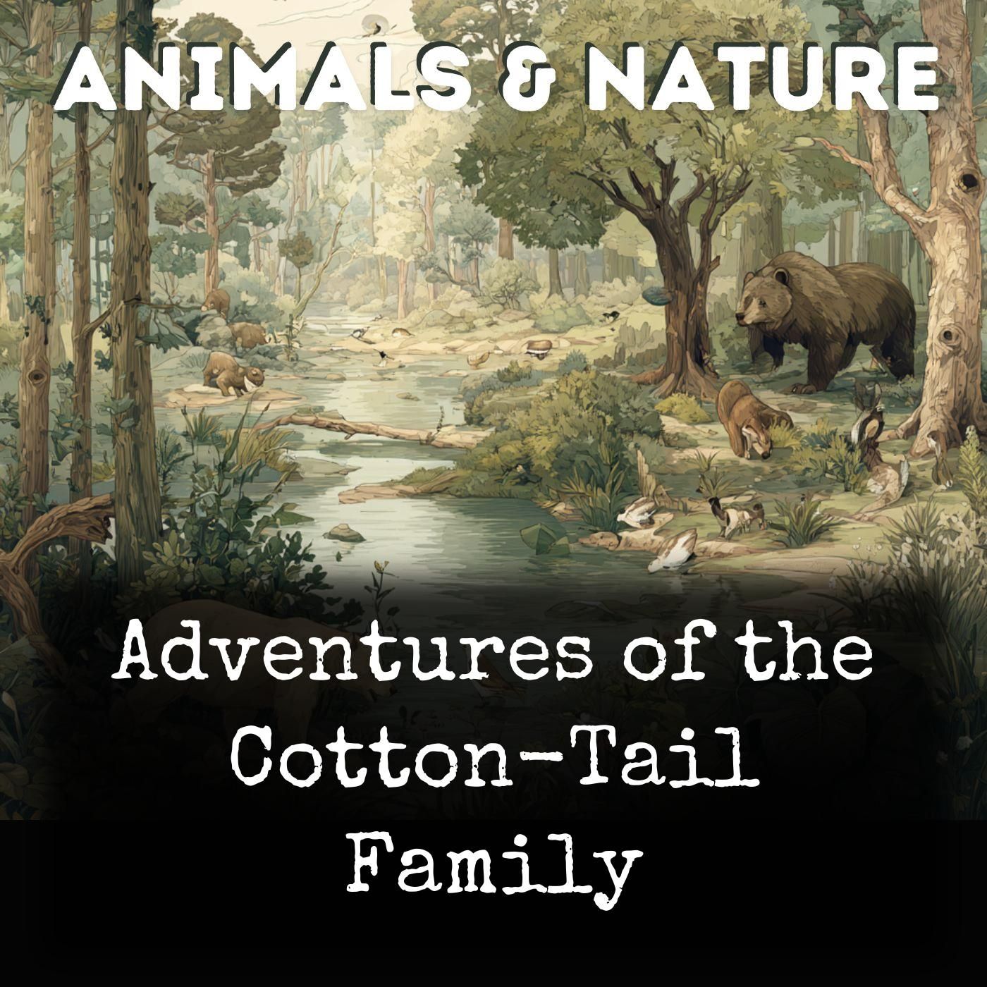 Adventures of the Cotton-Tail Family cover art