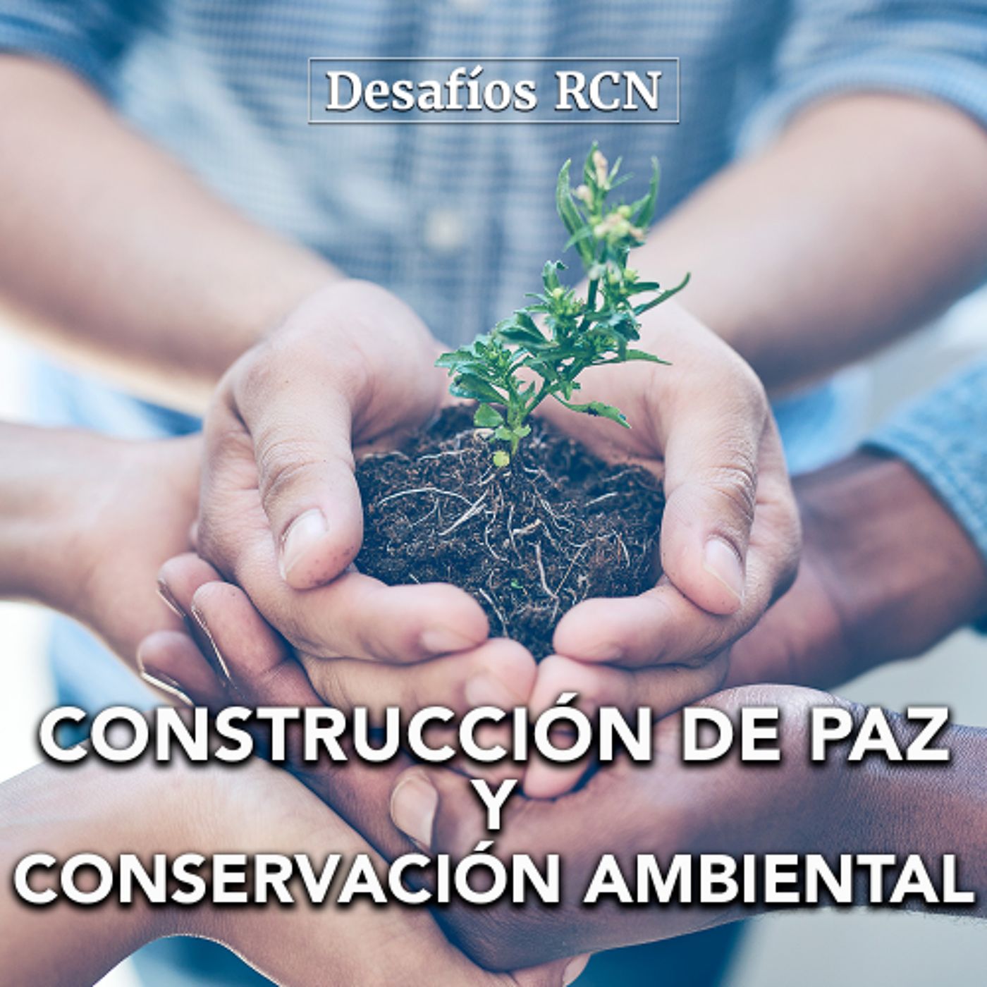 Construcción de paz a través de la conservación ambiental | Desafíos RCN-Javeriana episode artwork